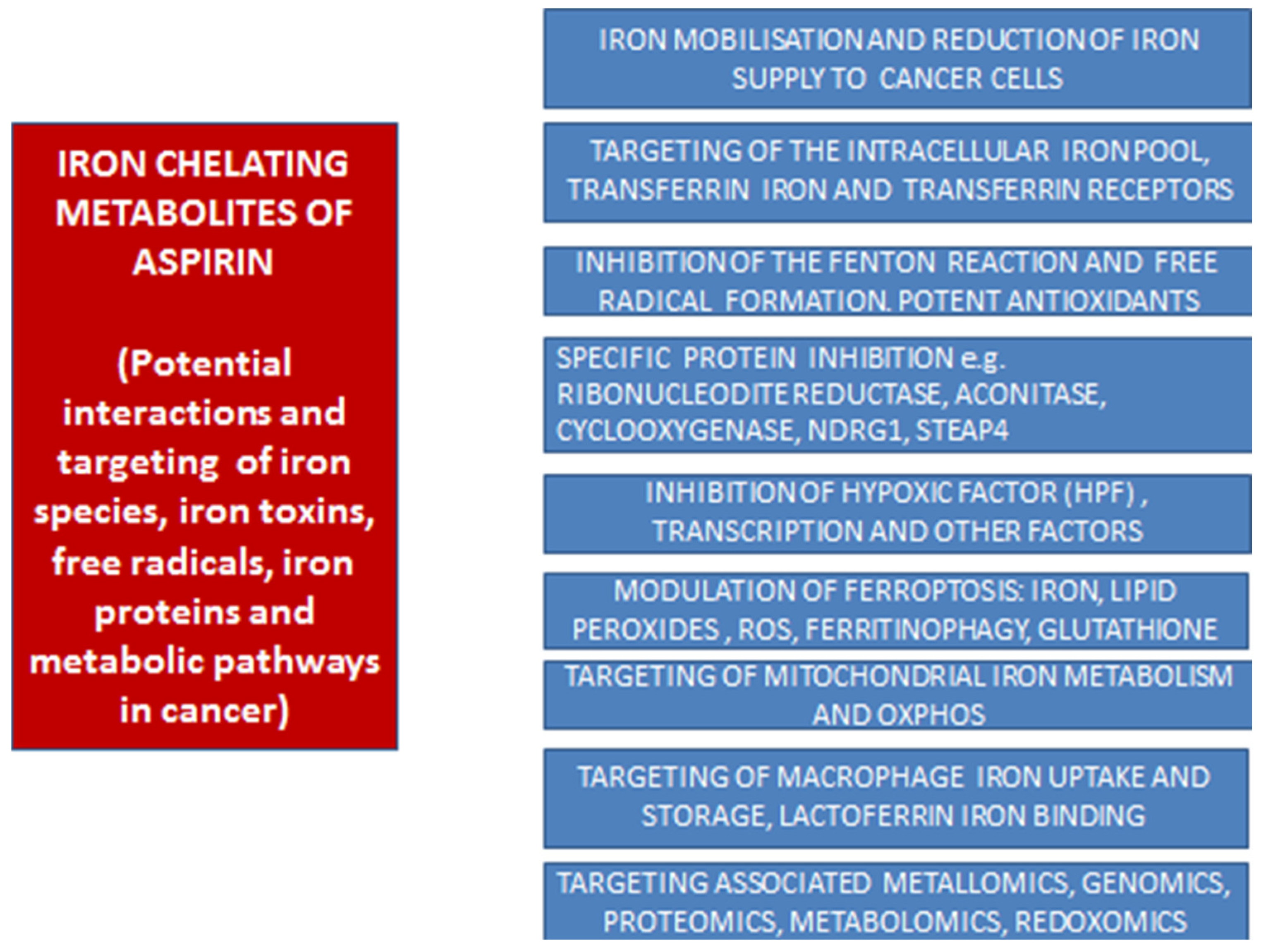 Antioxidants 14 00029 g002 Antioxidants 14 00029 g002