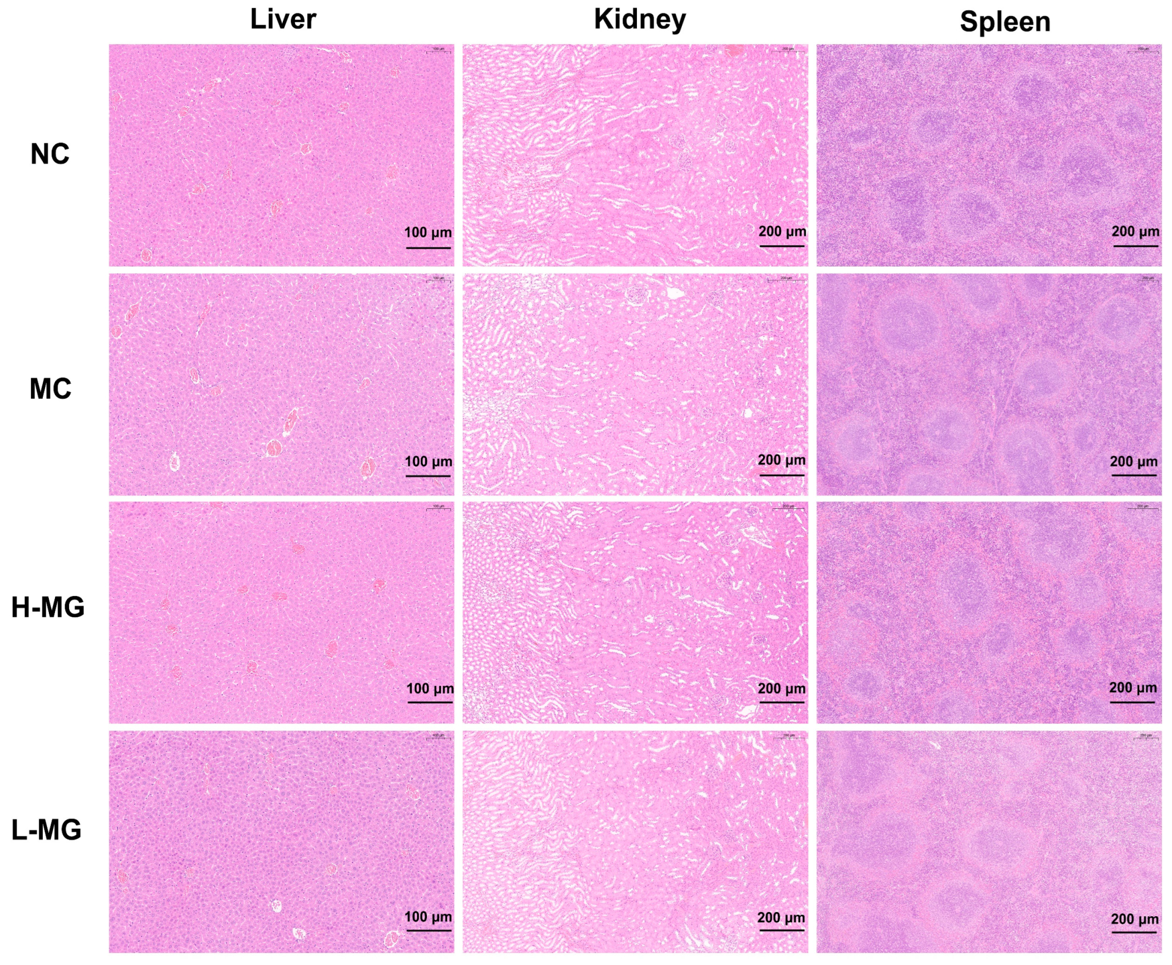 Antioxidants 14 00030 g003