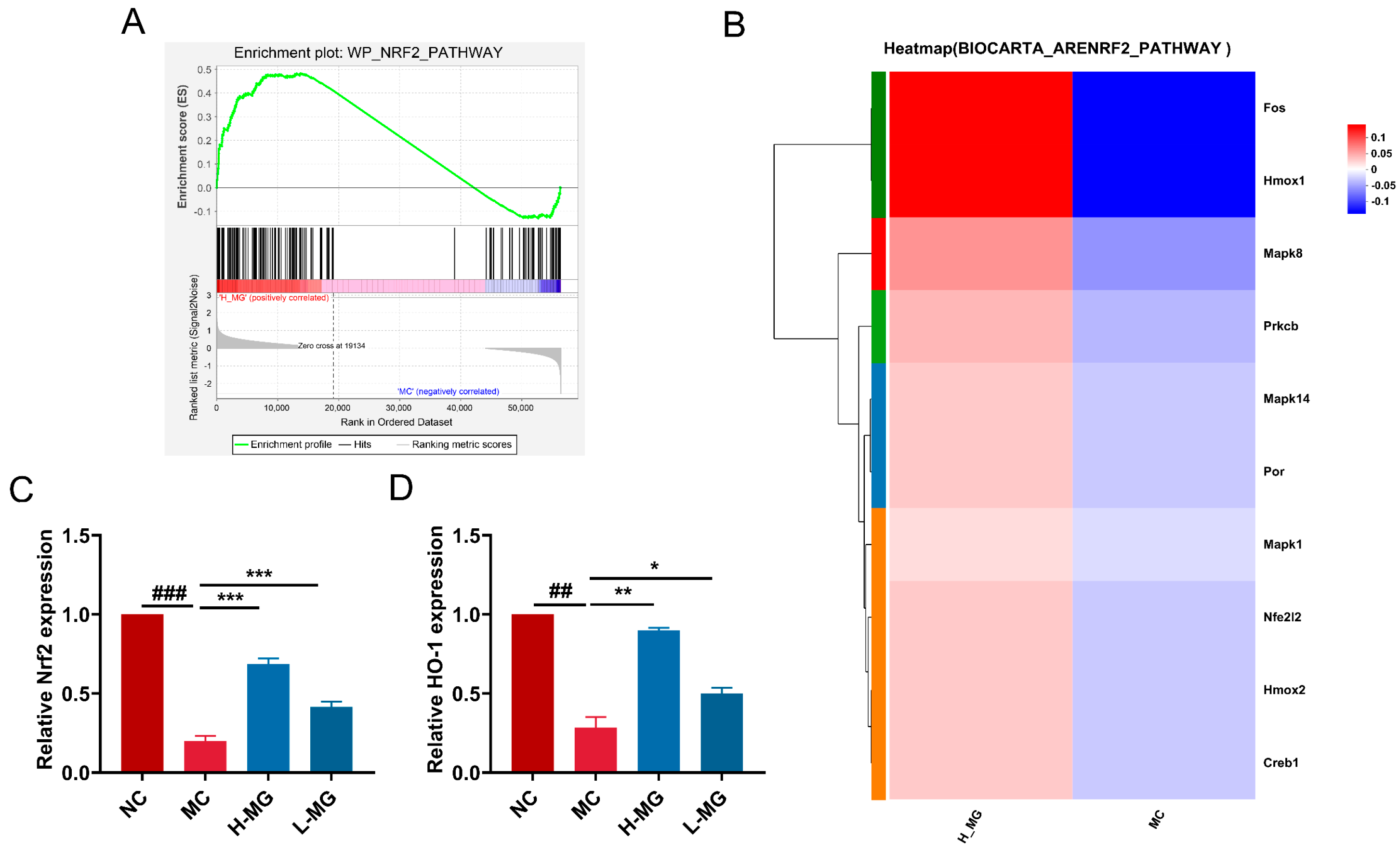 Antioxidants 14 00030 g013
