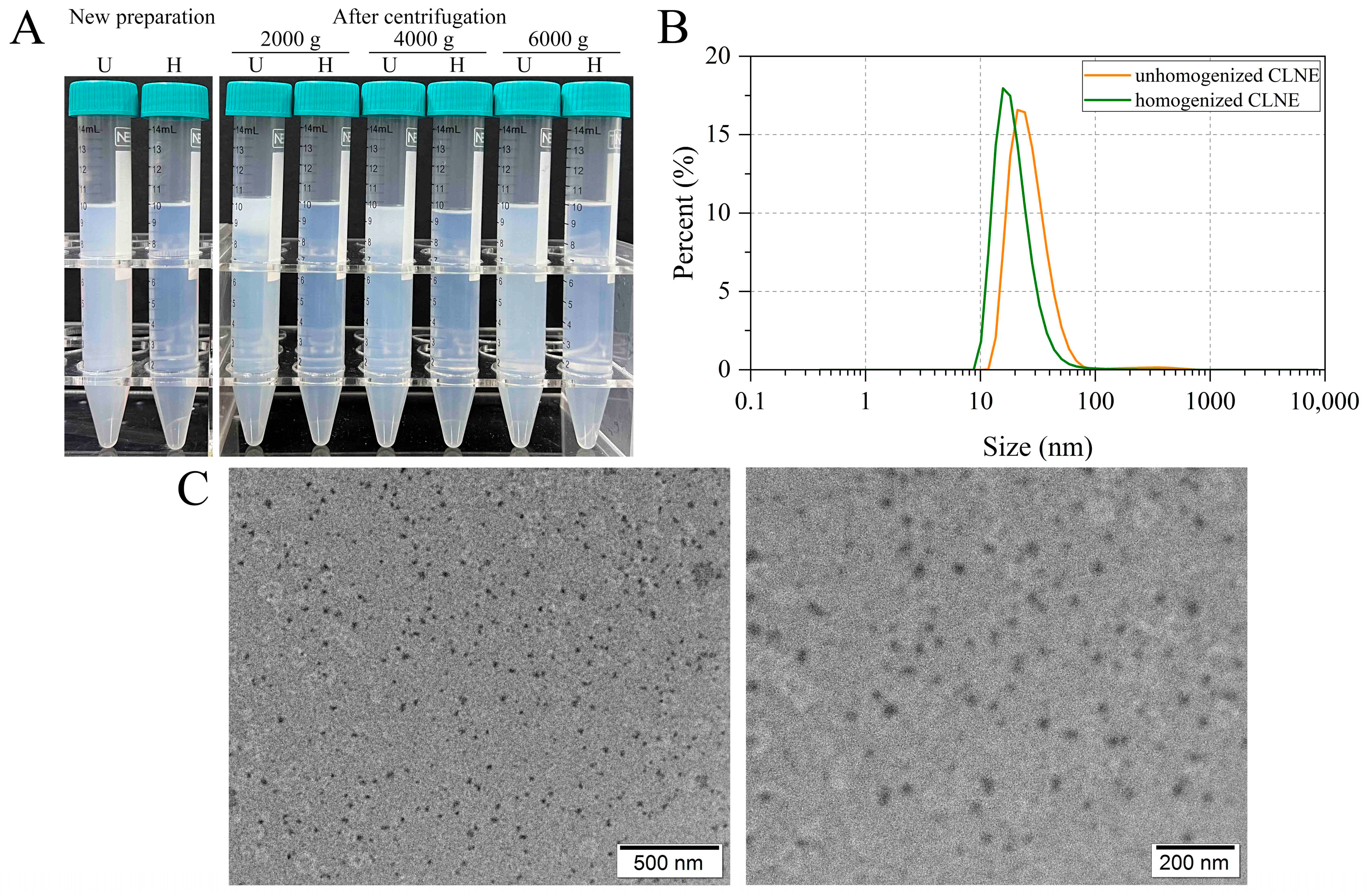 Antioxidants 14 00033 g001