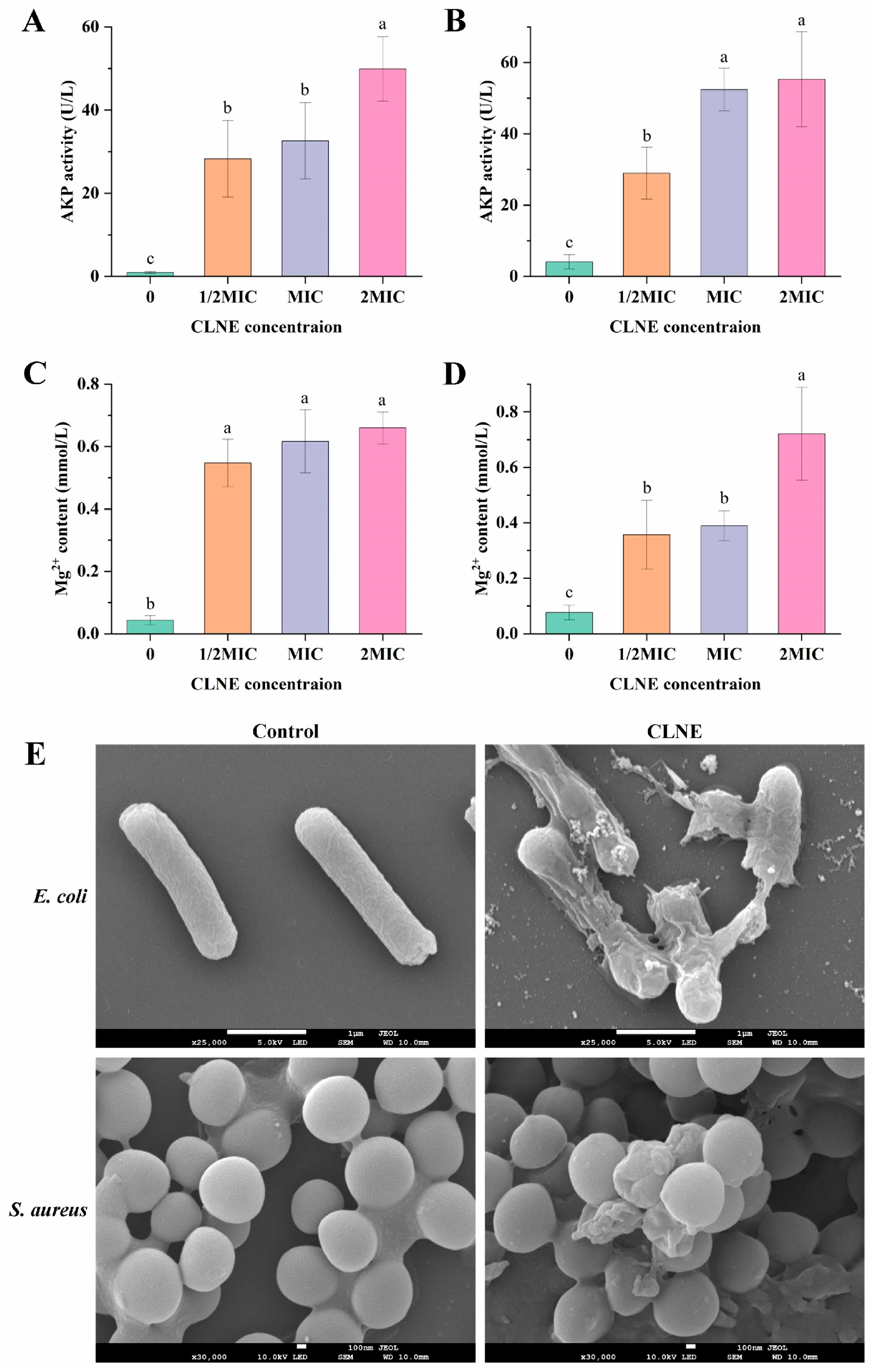 Antioxidants 14 00033 g004