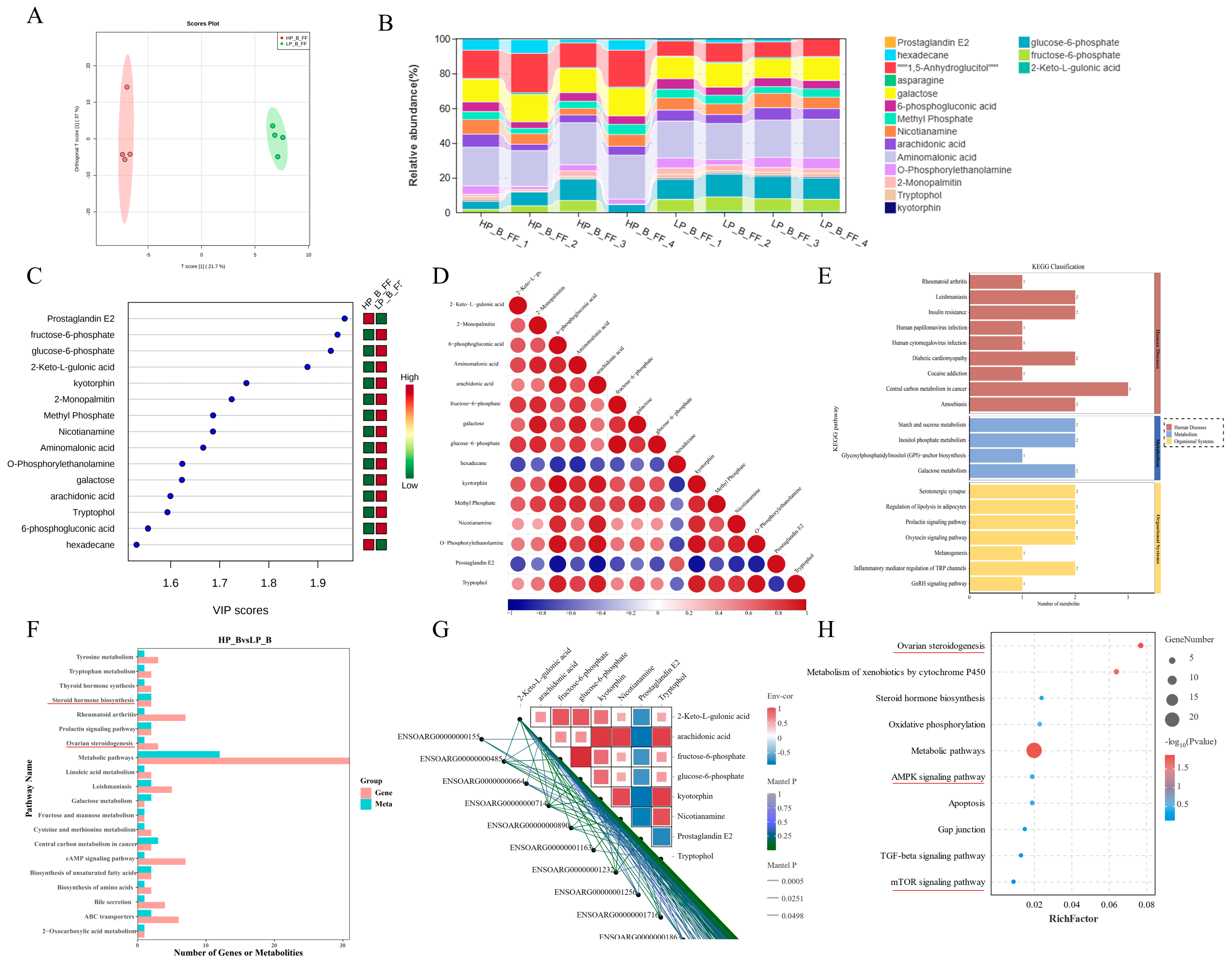 Antioxidants 14 00034 g003
