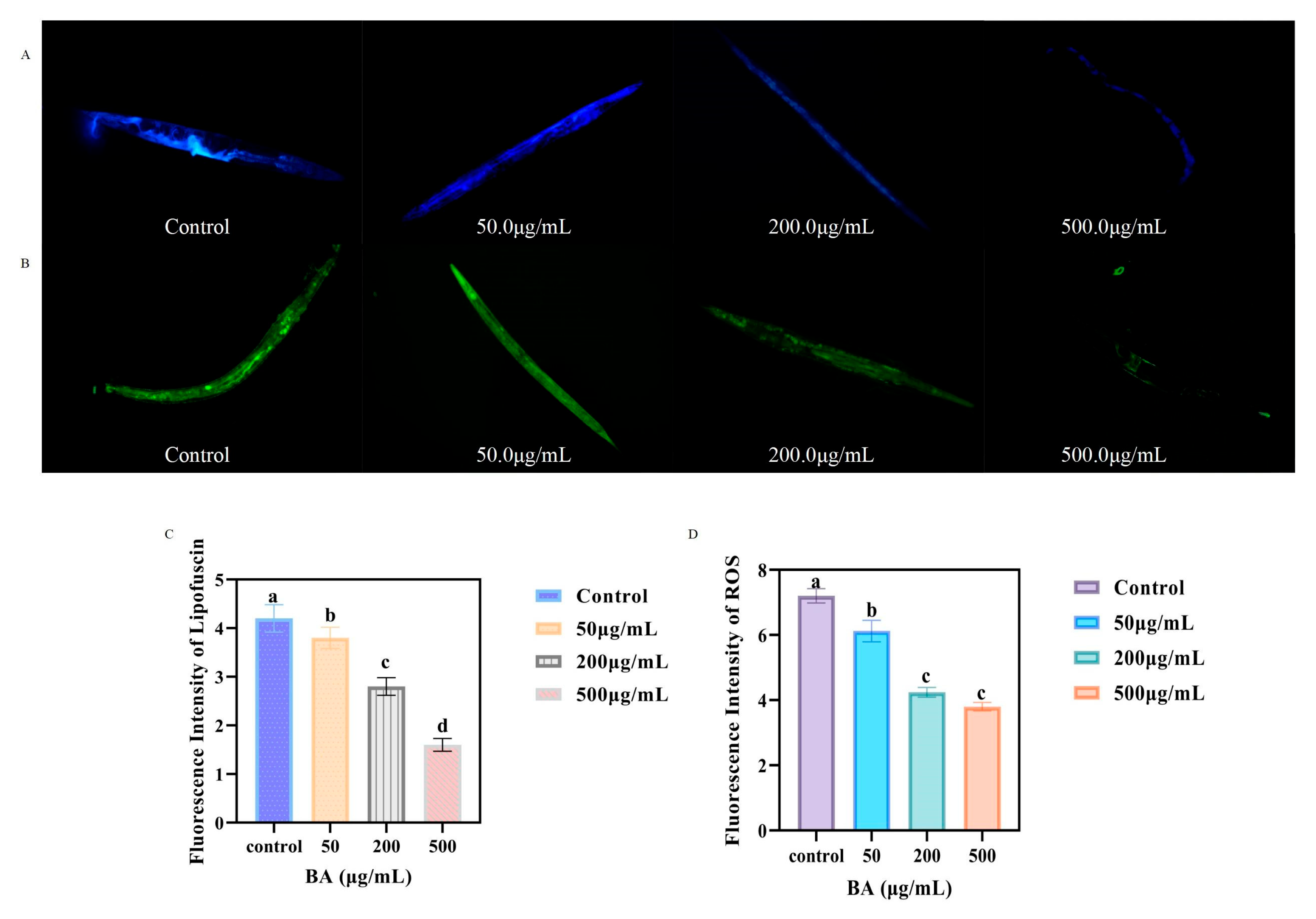 Antioxidants 14 00035 g004 Antioxidants 14 00035 g004