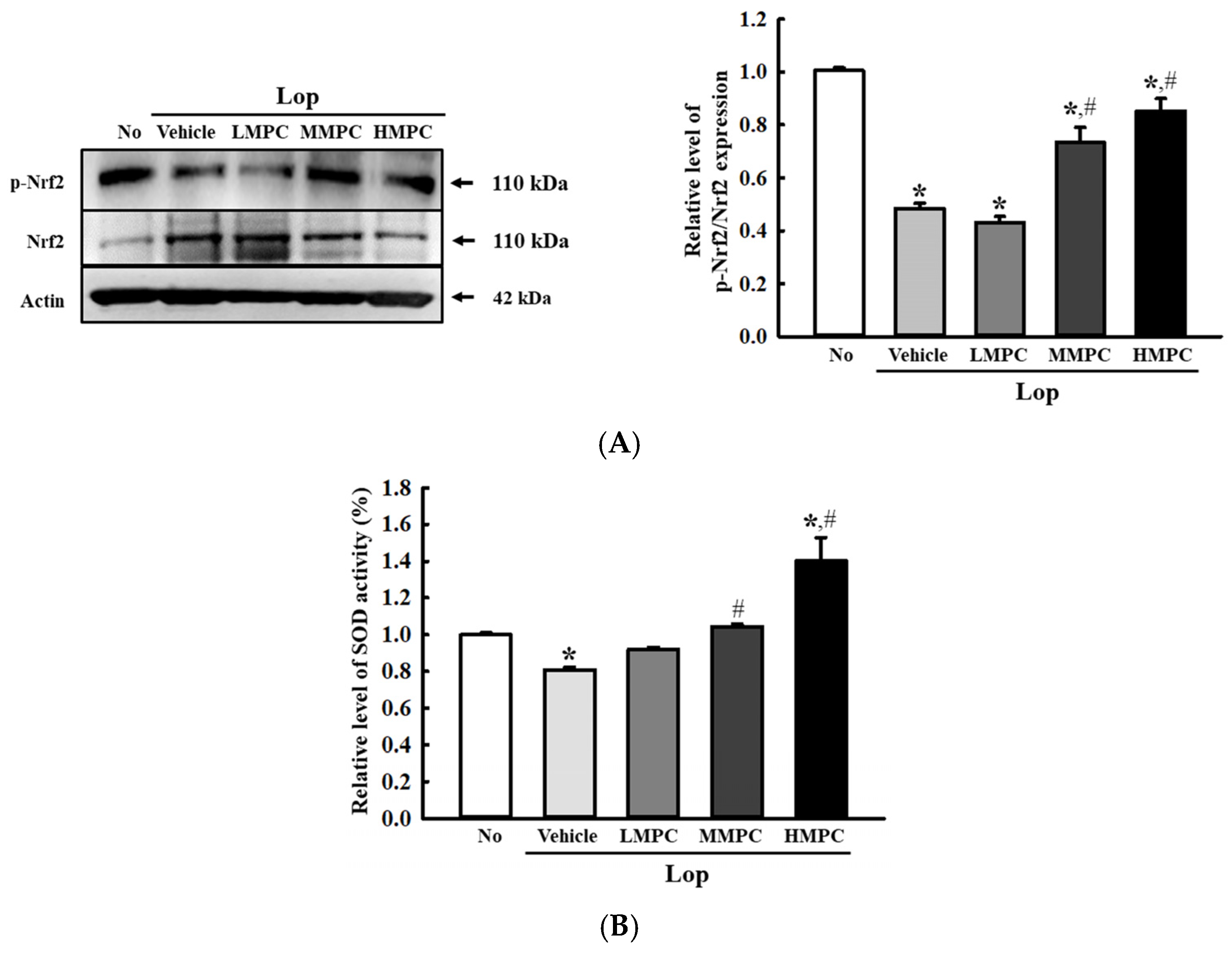 Antioxidants 14 00037 g004