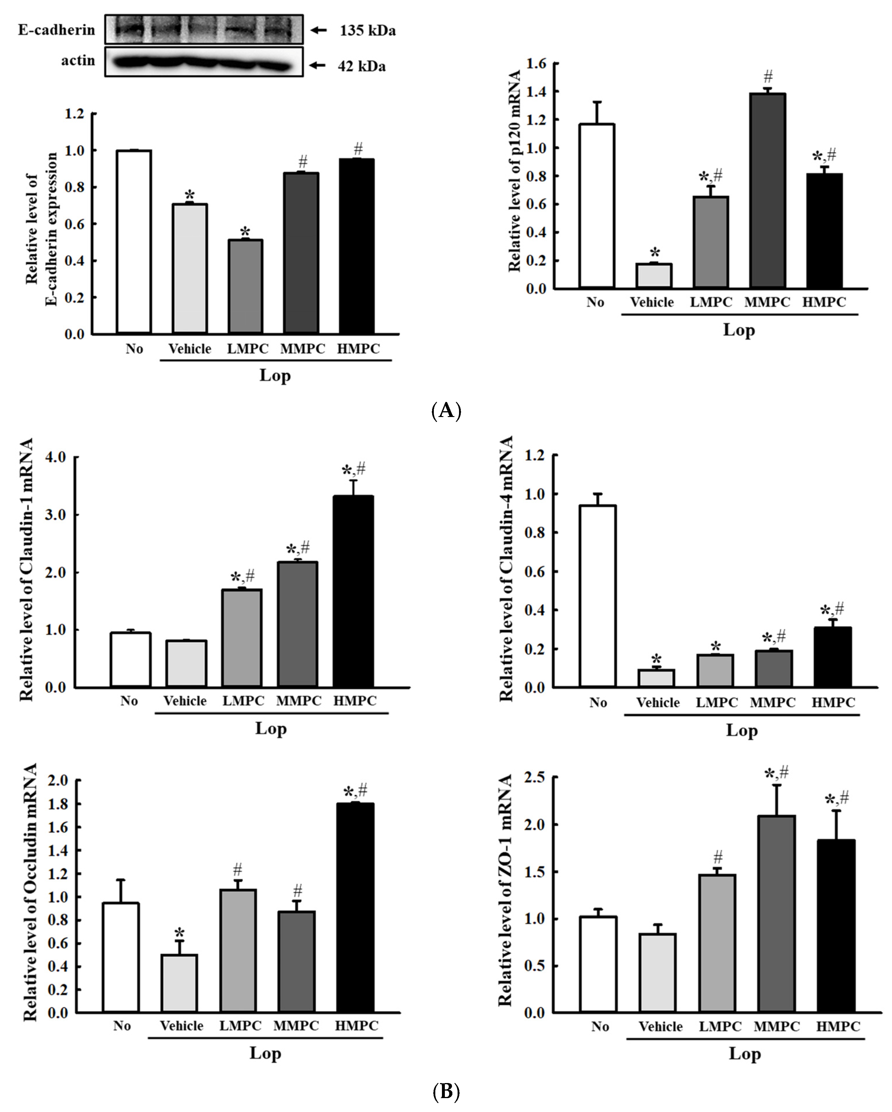 Antioxidants 14 00037 g010a