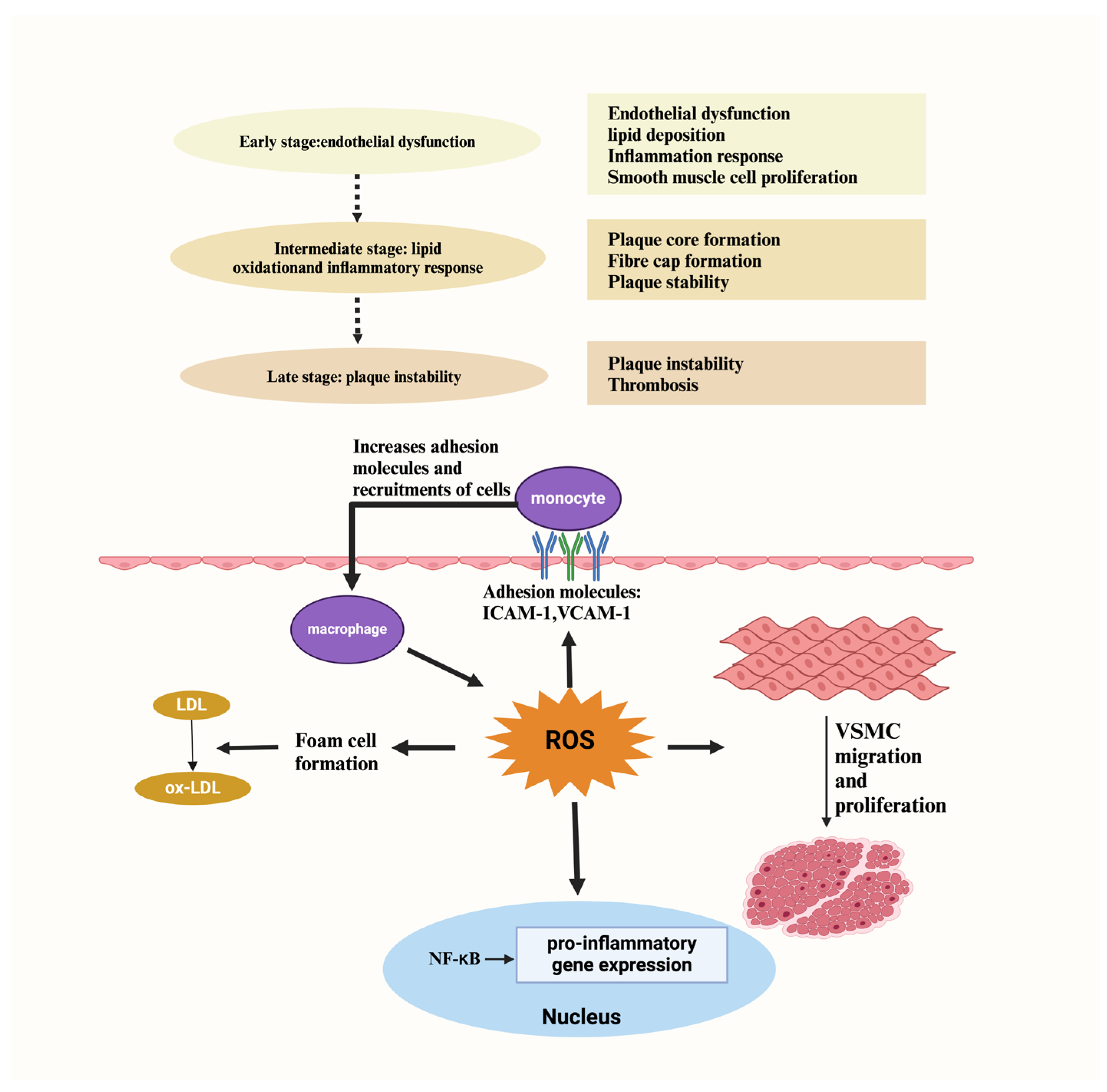 Antioxidants 14 00038 g002