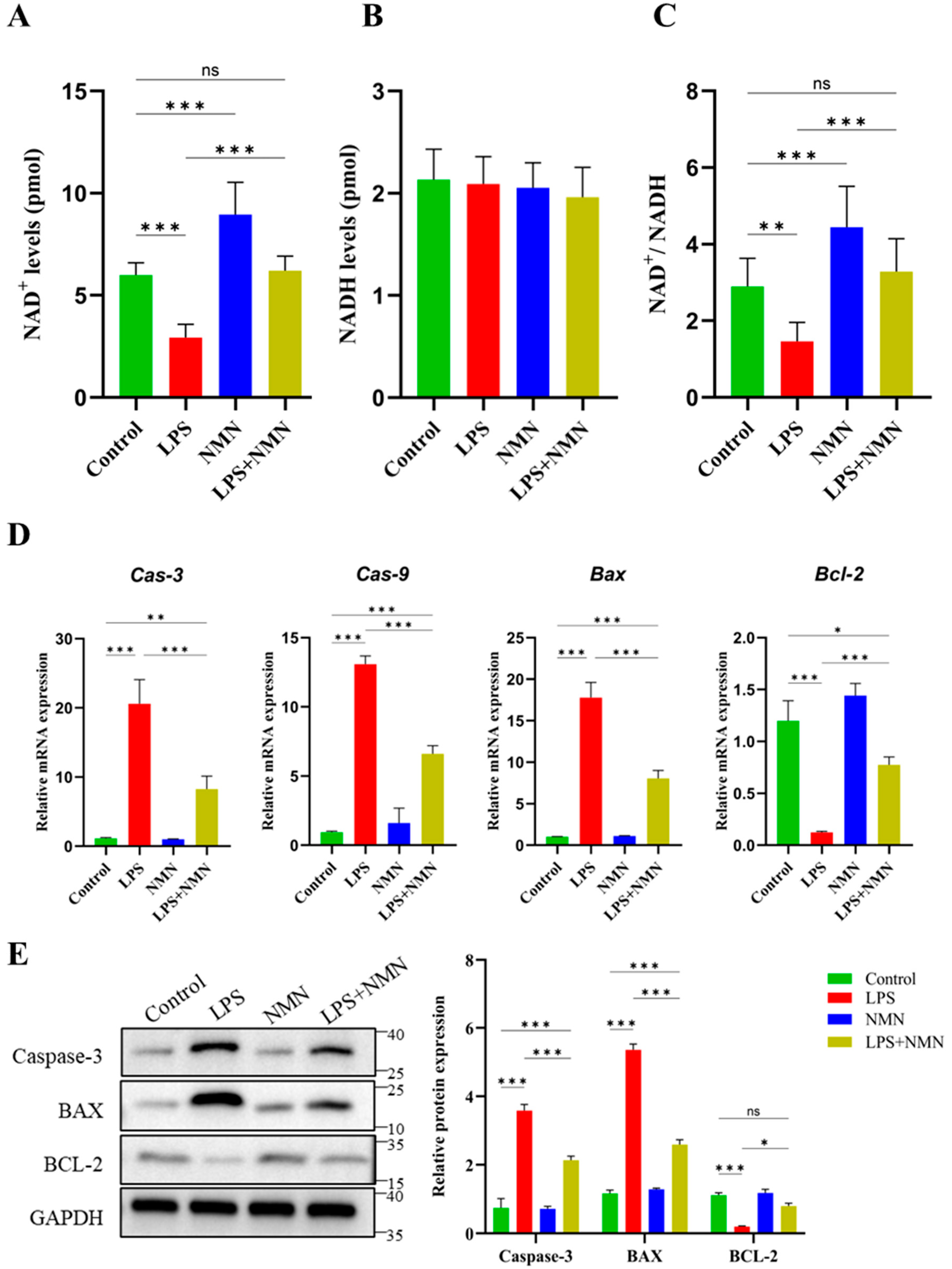 Antioxidants 14 00039 g004