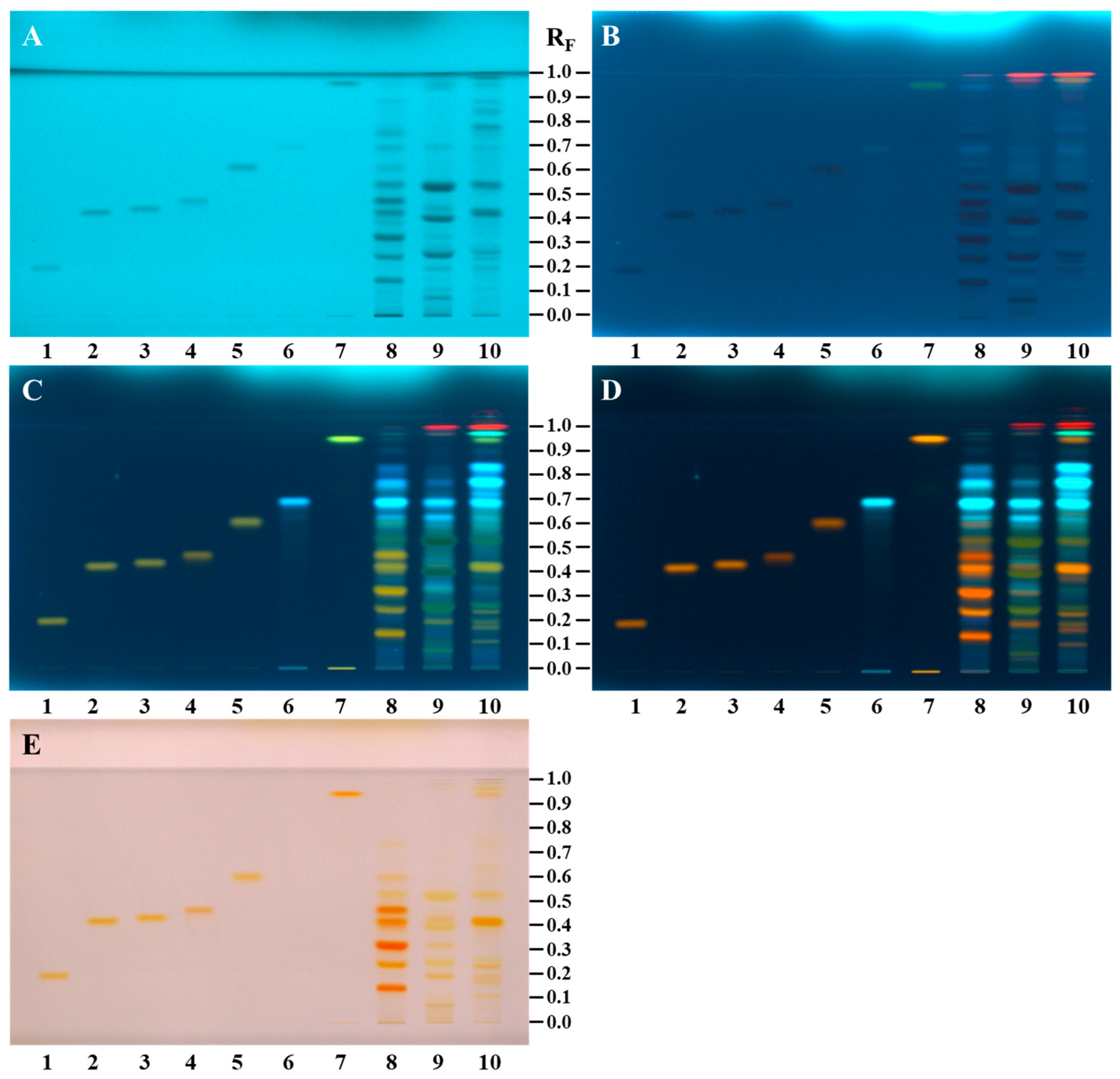 Antioxidants 14 00040 g003