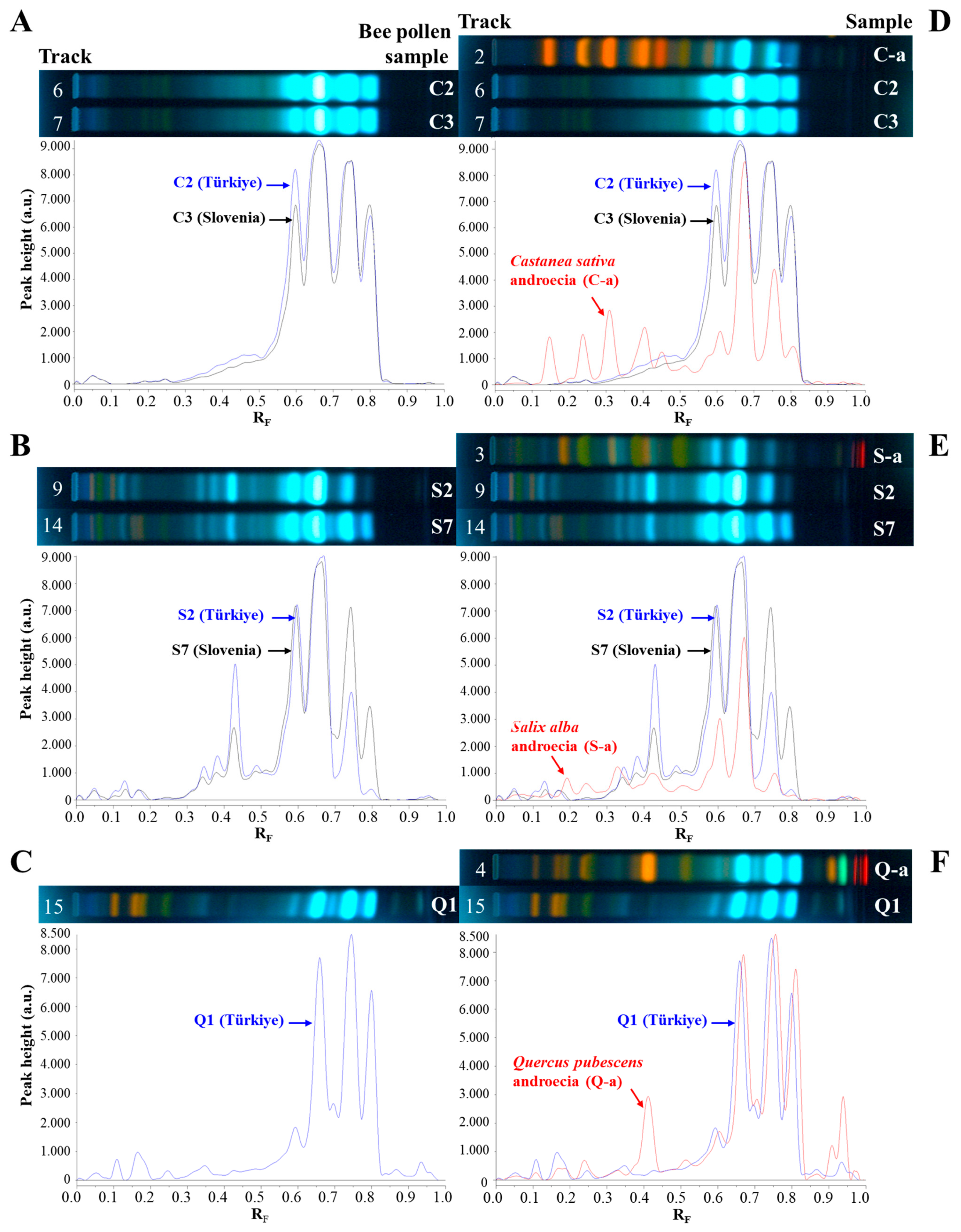 Antioxidants 14 00040 g005