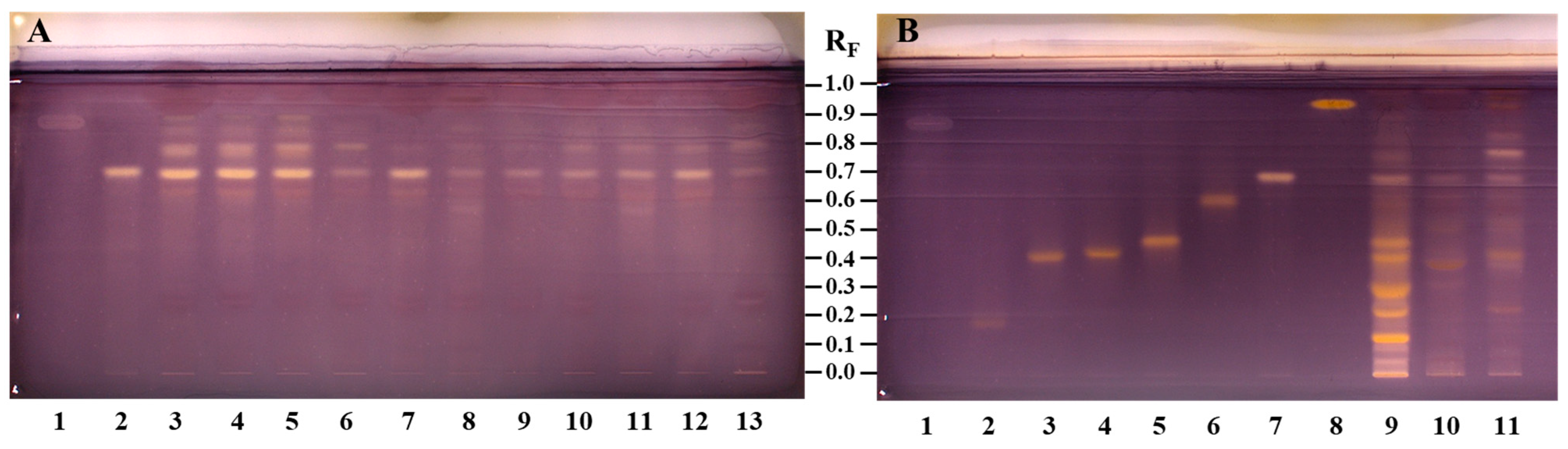 Antioxidants 14 00040 g011