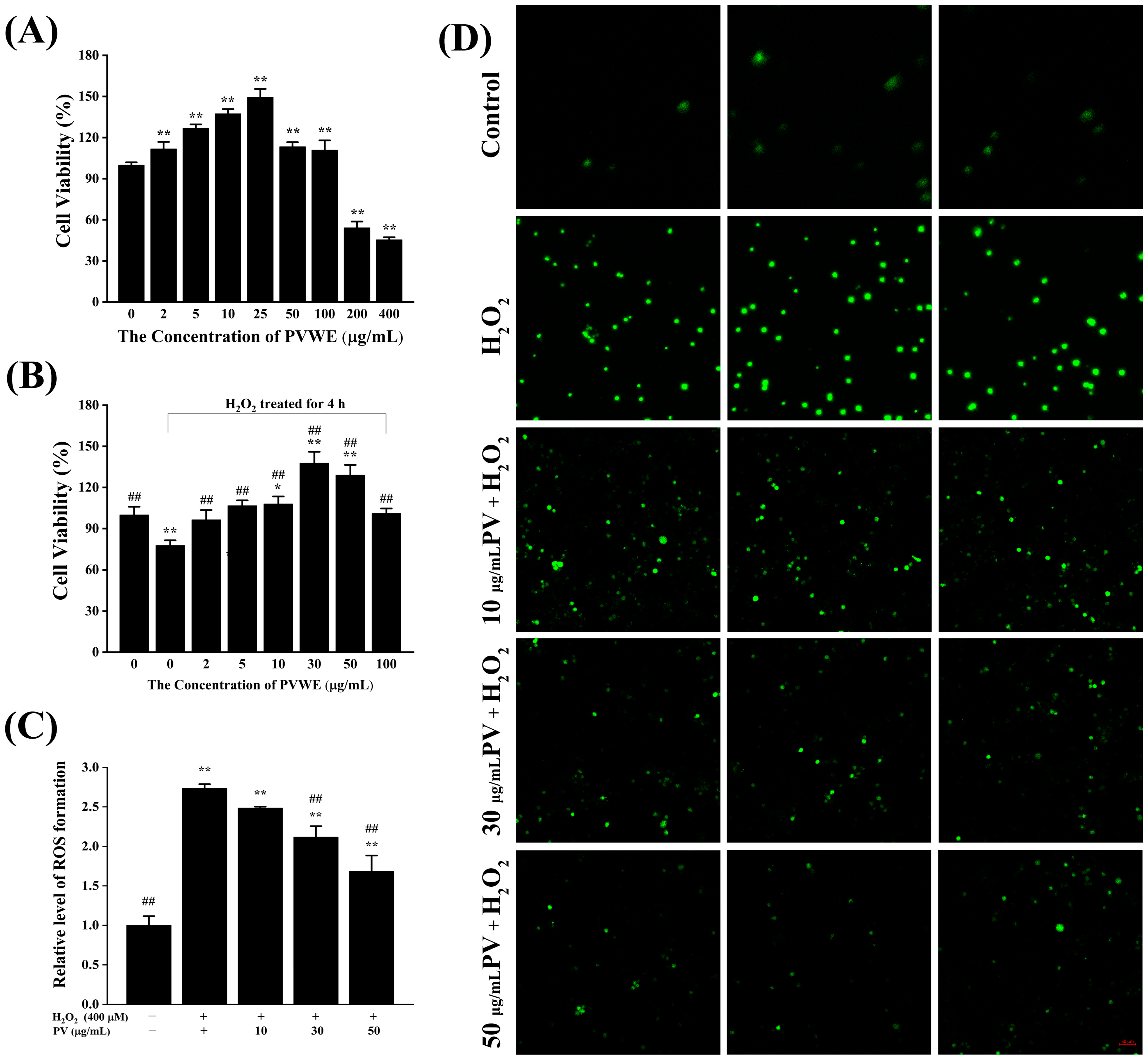 Antioxidants 14 00041 g003