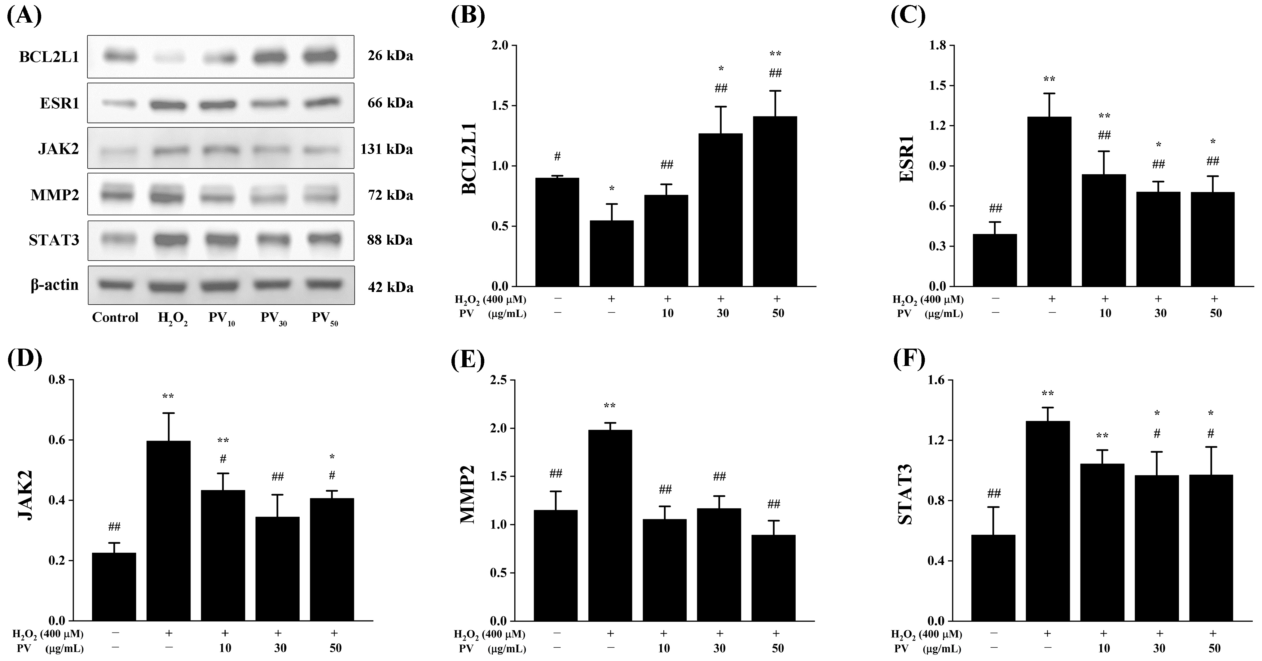Antioxidants 14 00041 g006
