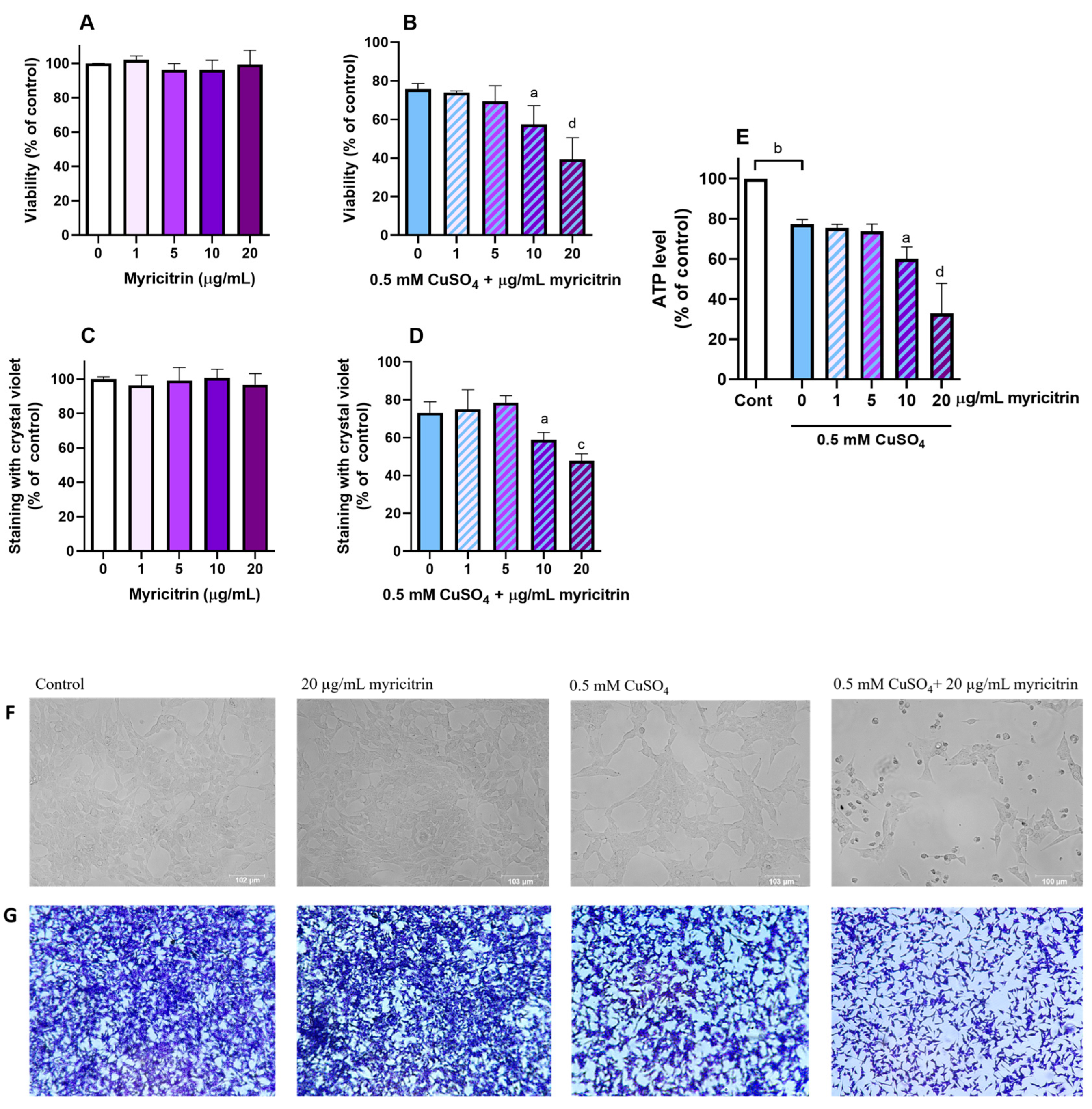 Antioxidants 14 00046 g001