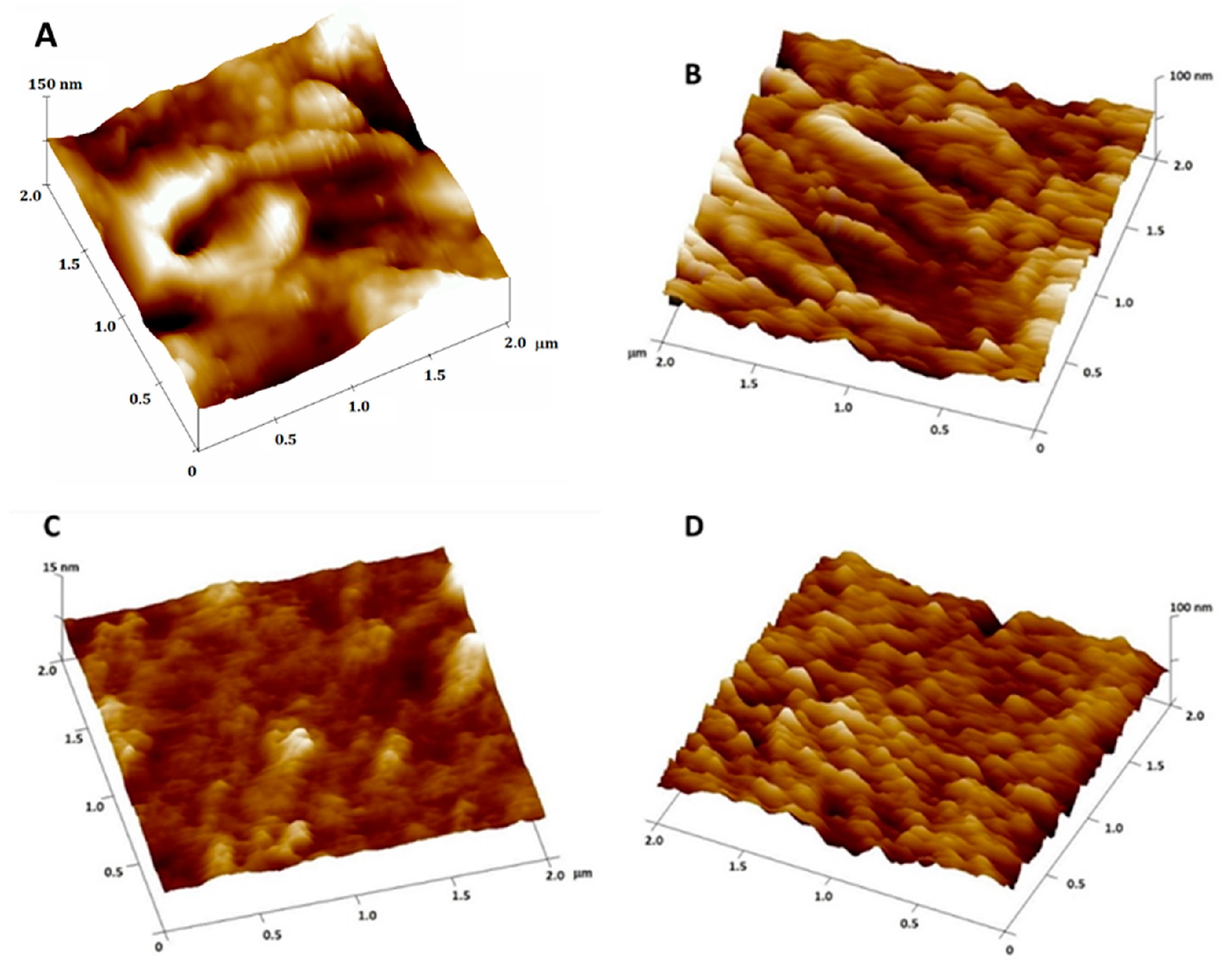 Antioxidants 14 00046 g008
