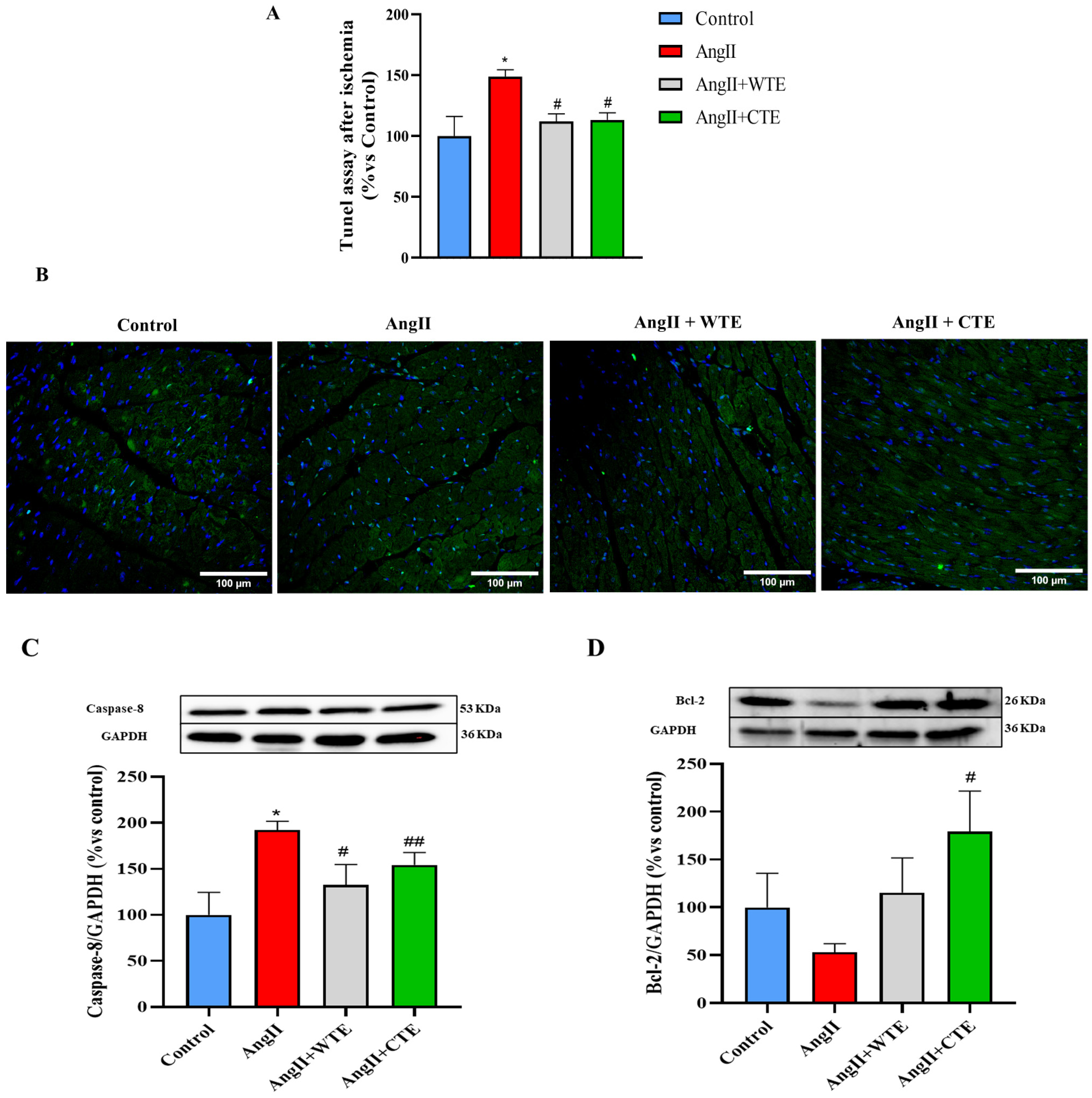 Antioxidants 14 00047 g003