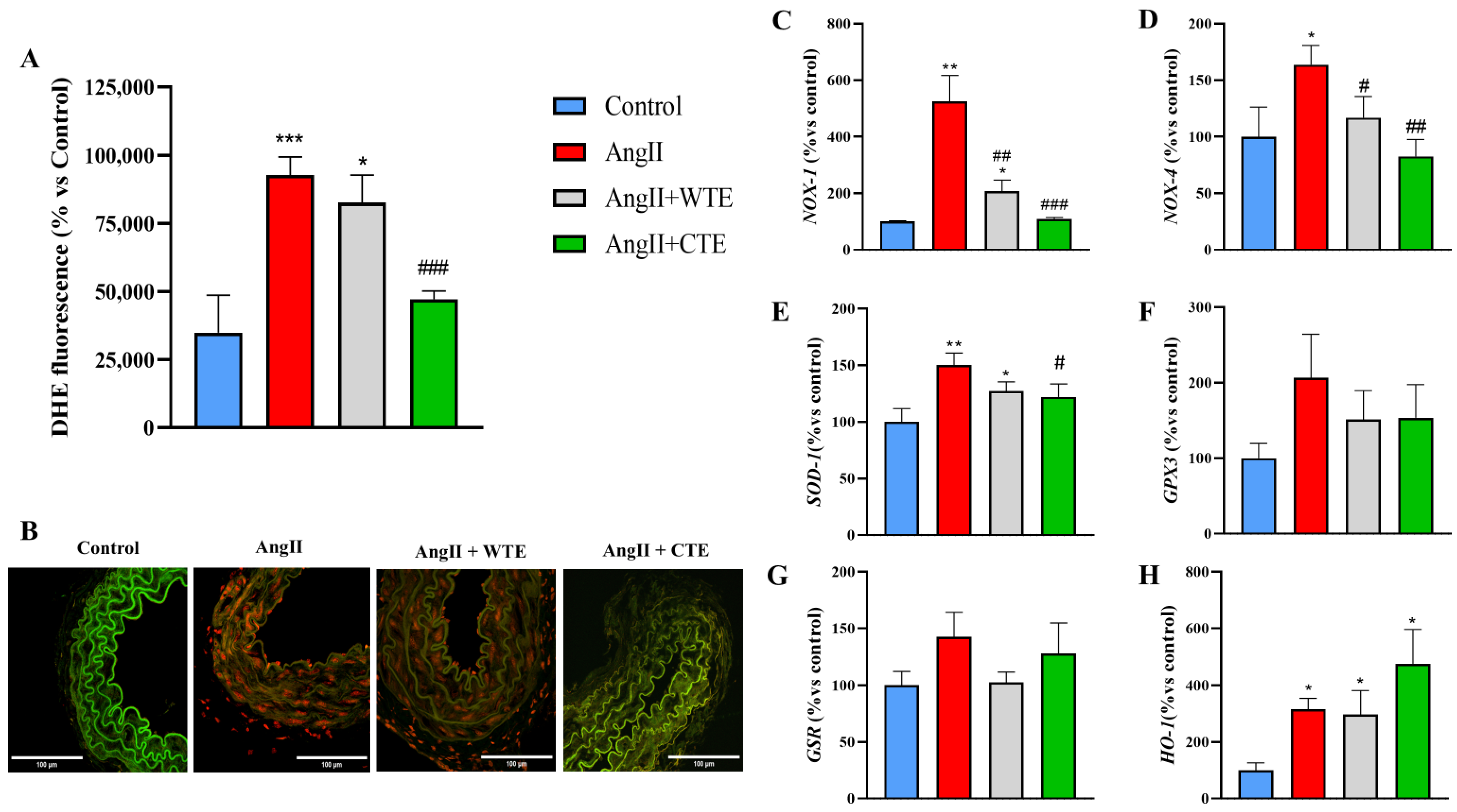 Antioxidants 14 00047 g007