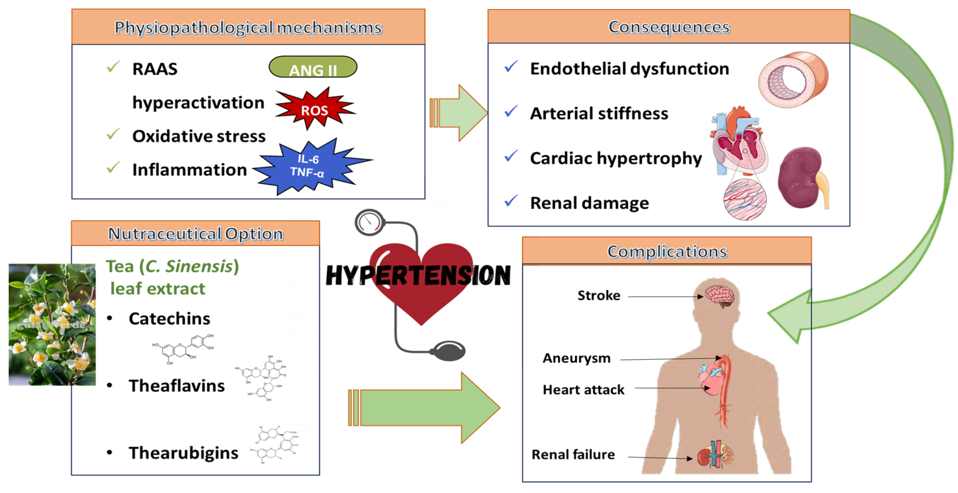 Antioxidants 14 00047 sch001