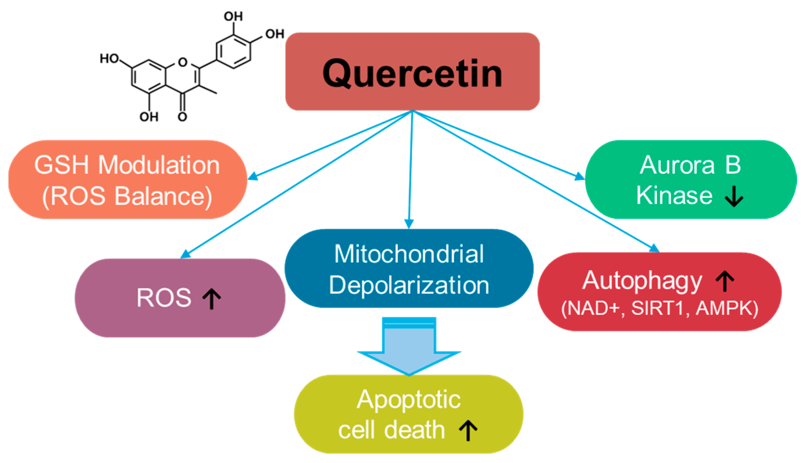 Antioxidants 14 00049 g002