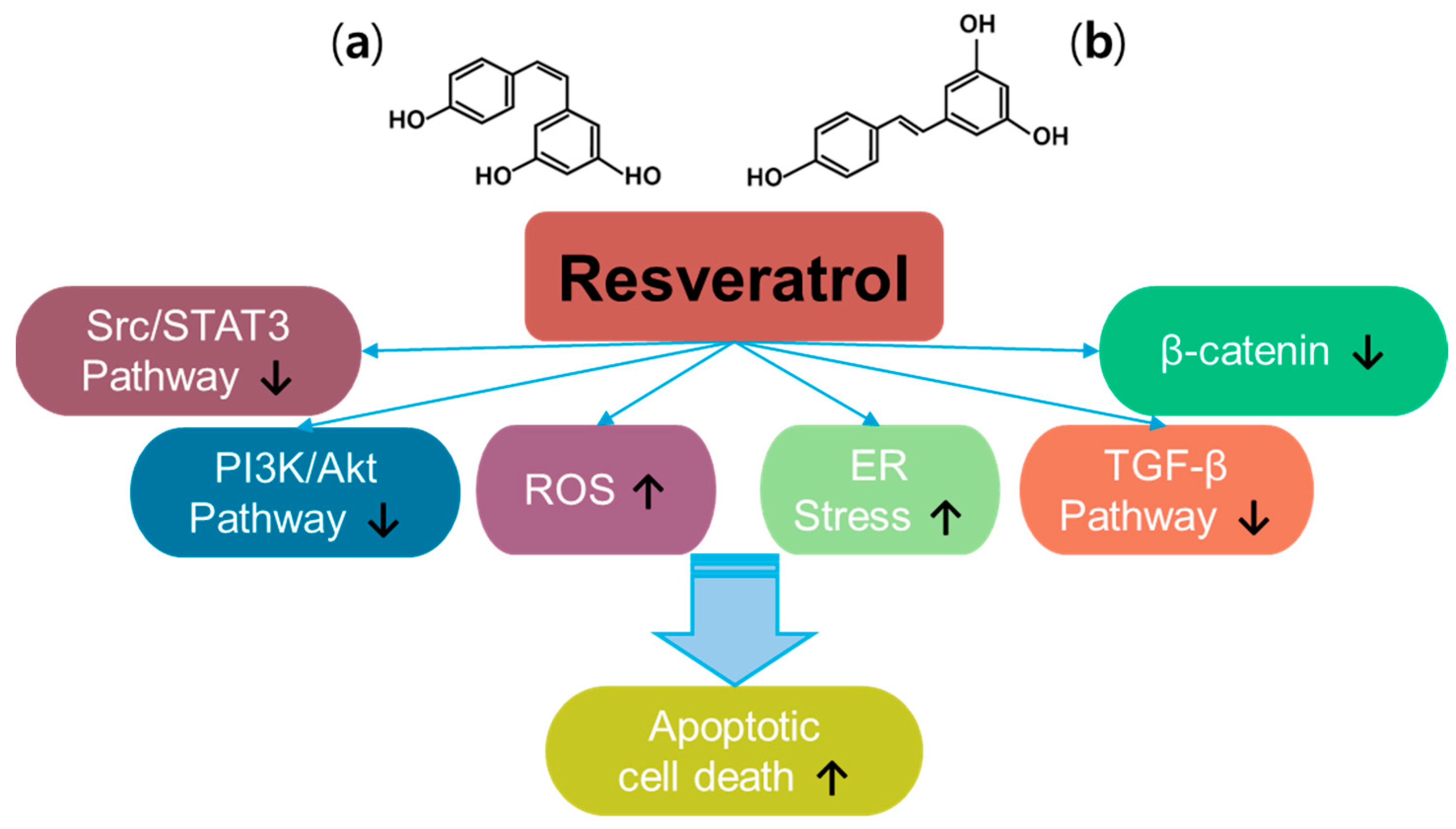 Antioxidants 14 00049 g003