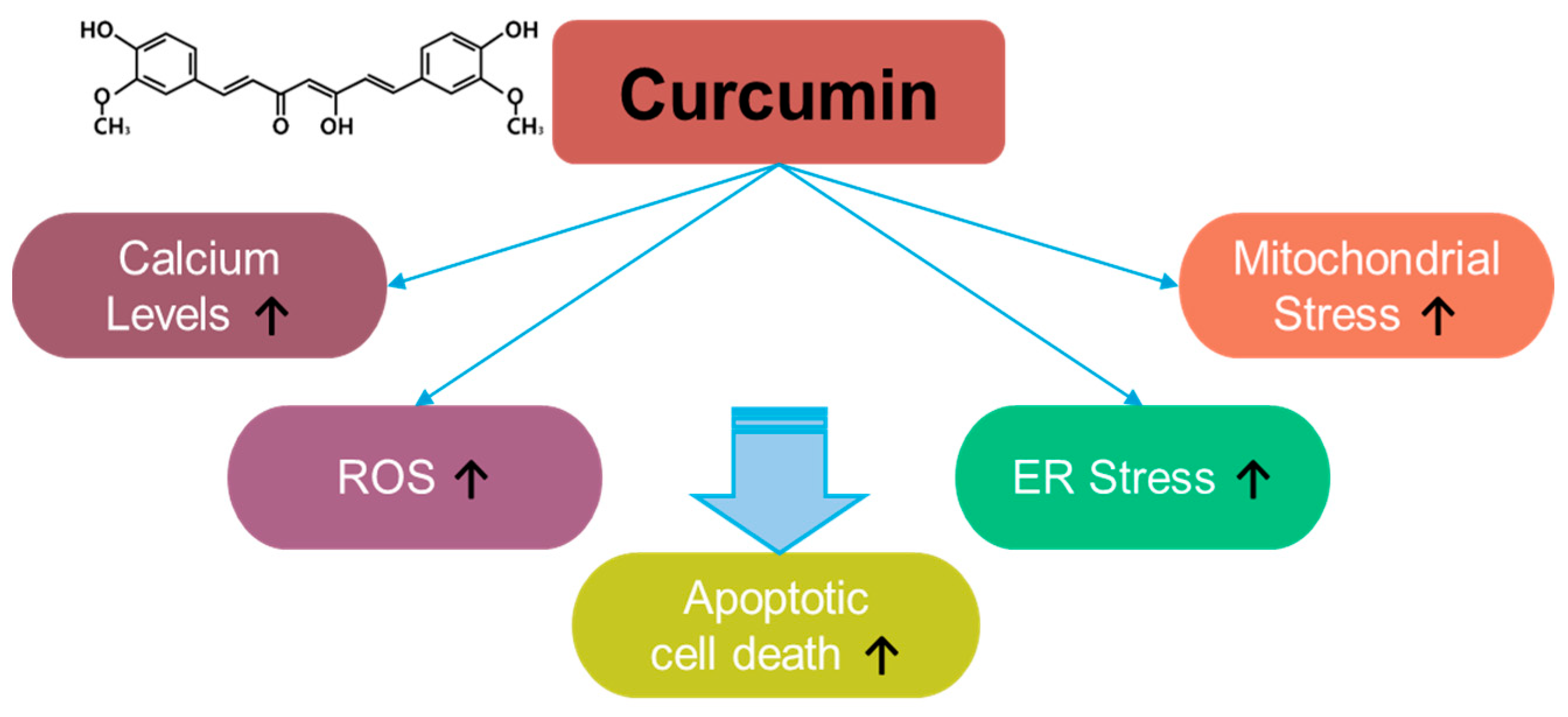 Antioxidants 14 00049 g004