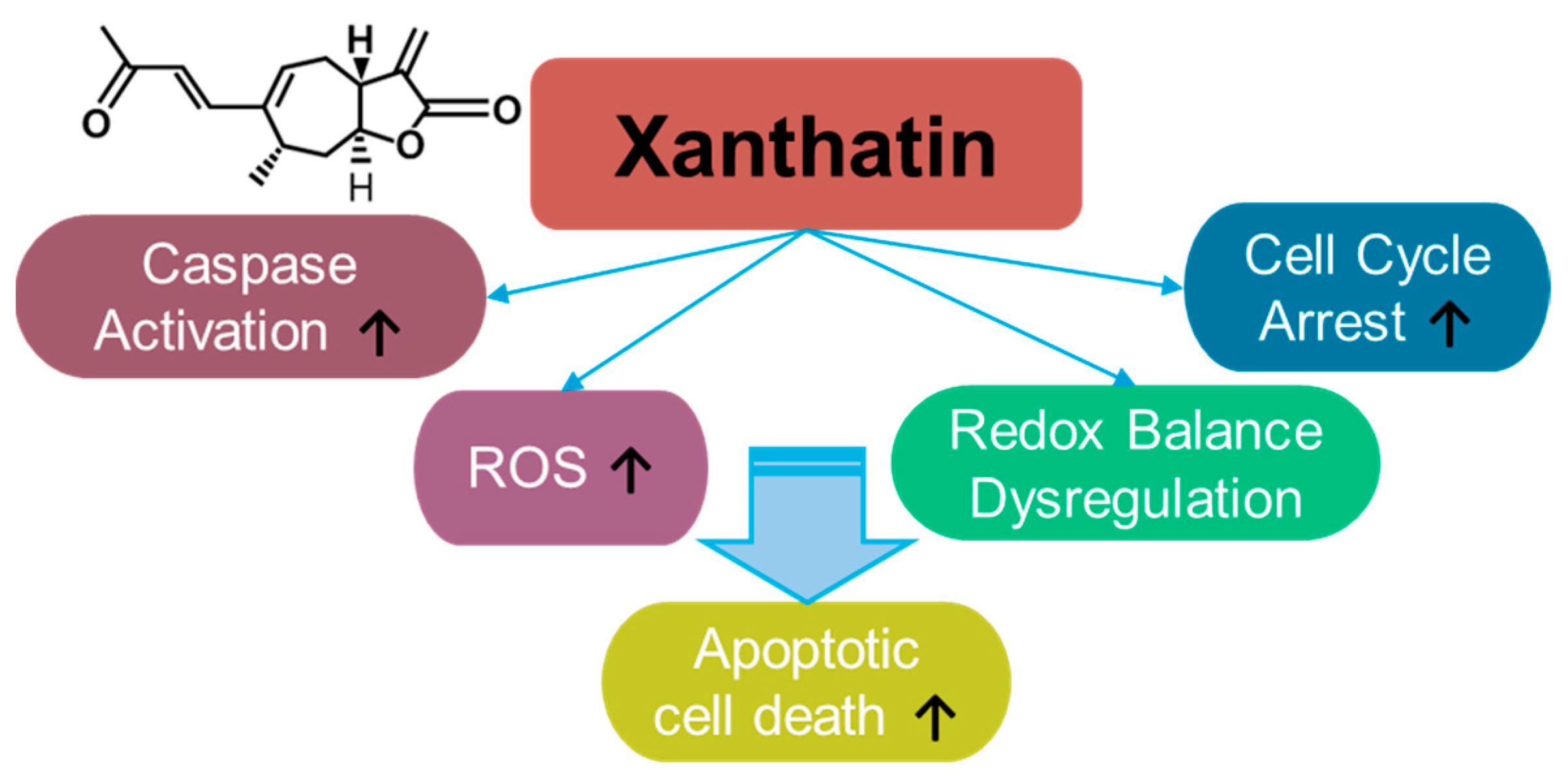 Antioxidants 14 00049 g005