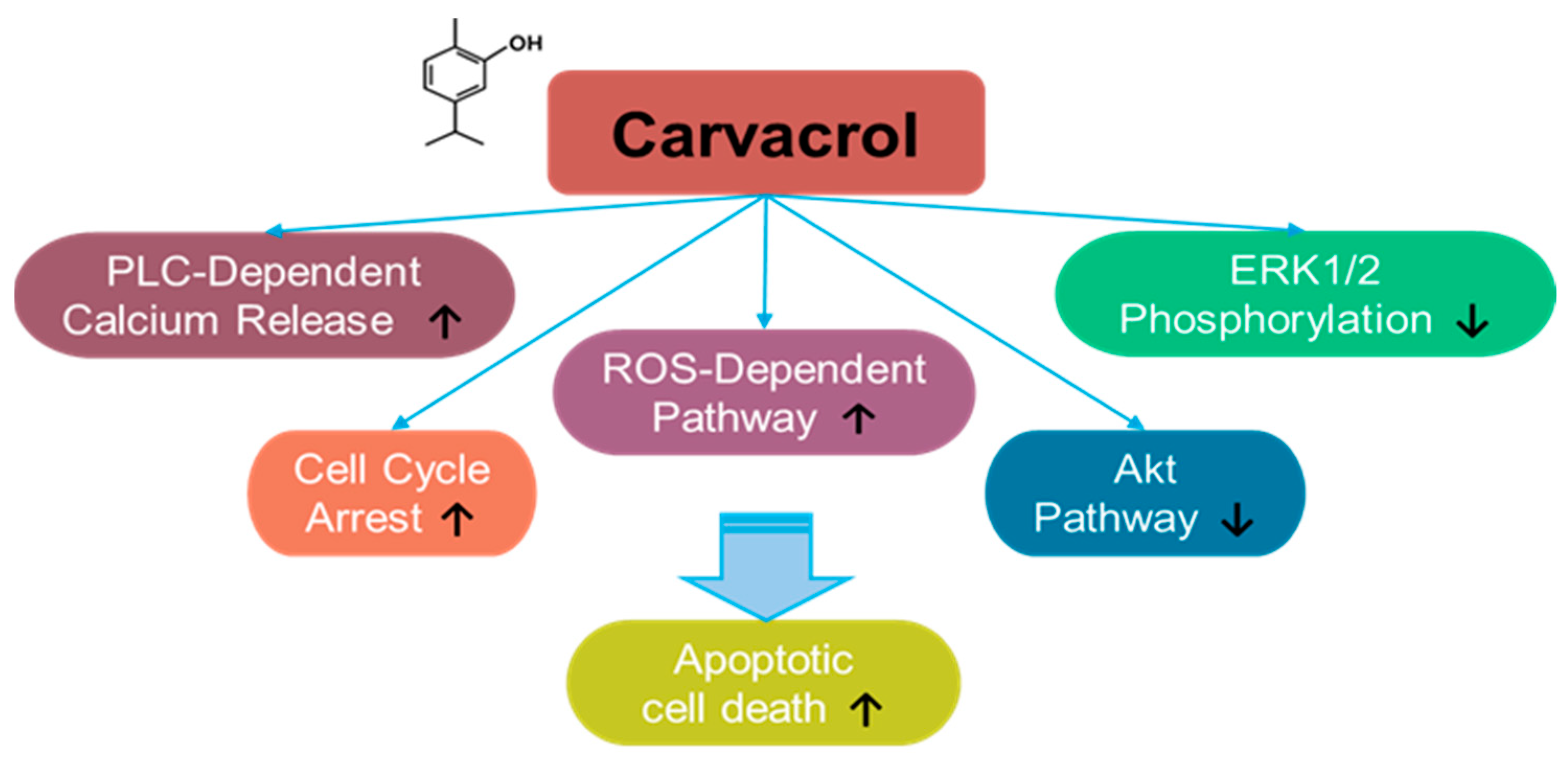 Antioxidants 14 00049 g006