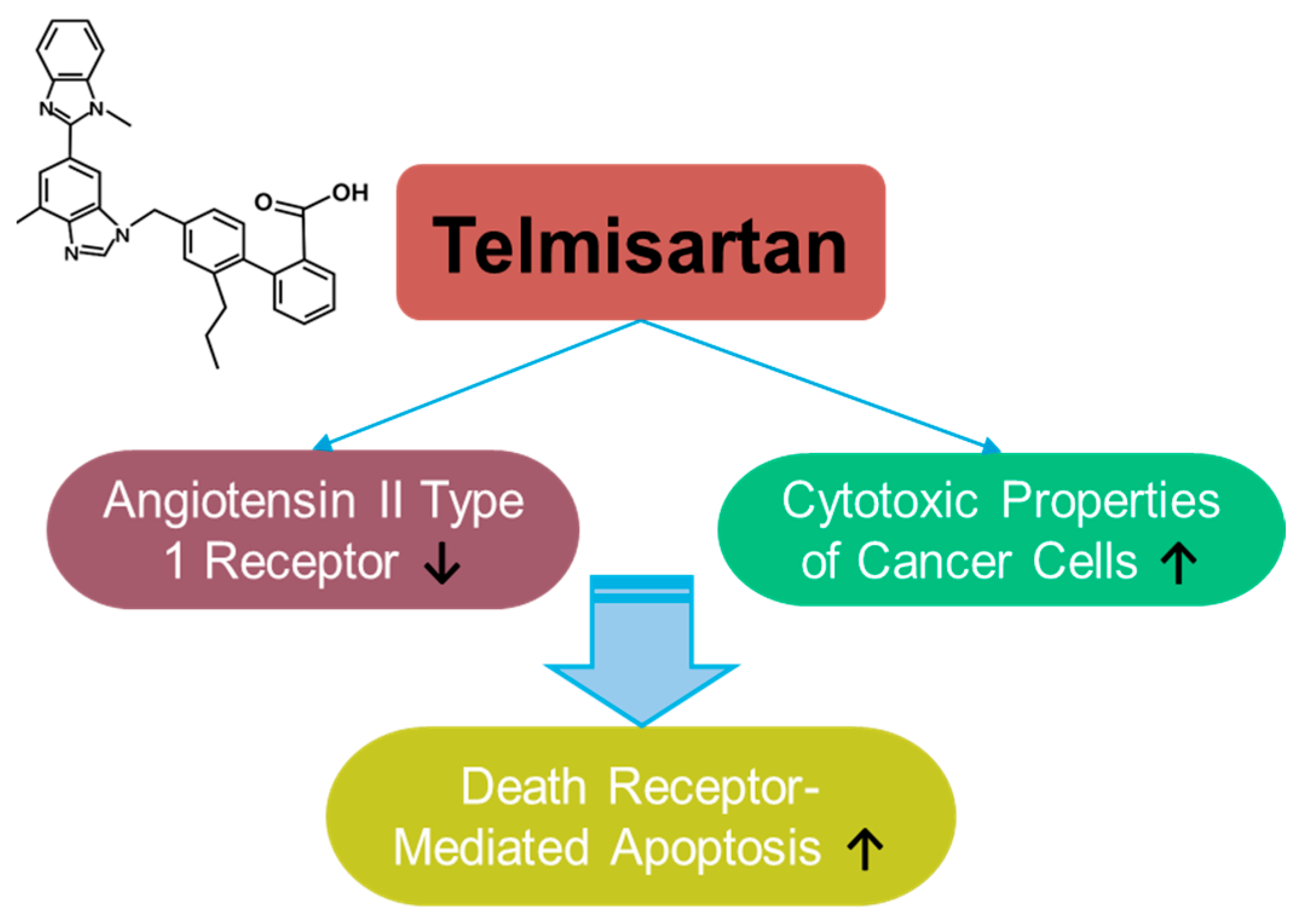 Antioxidants 14 00049 g007