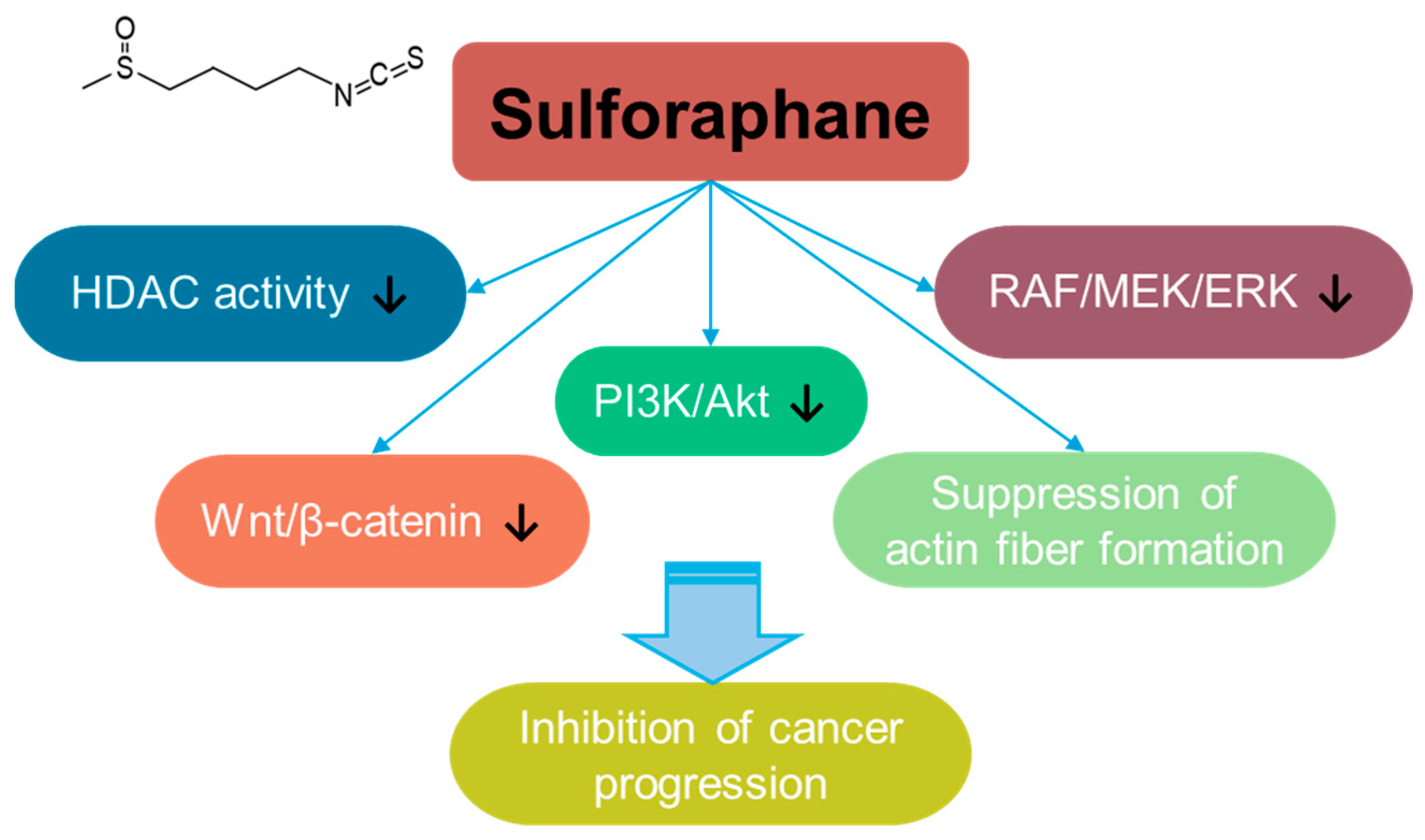 Antioxidants 14 00049 g008