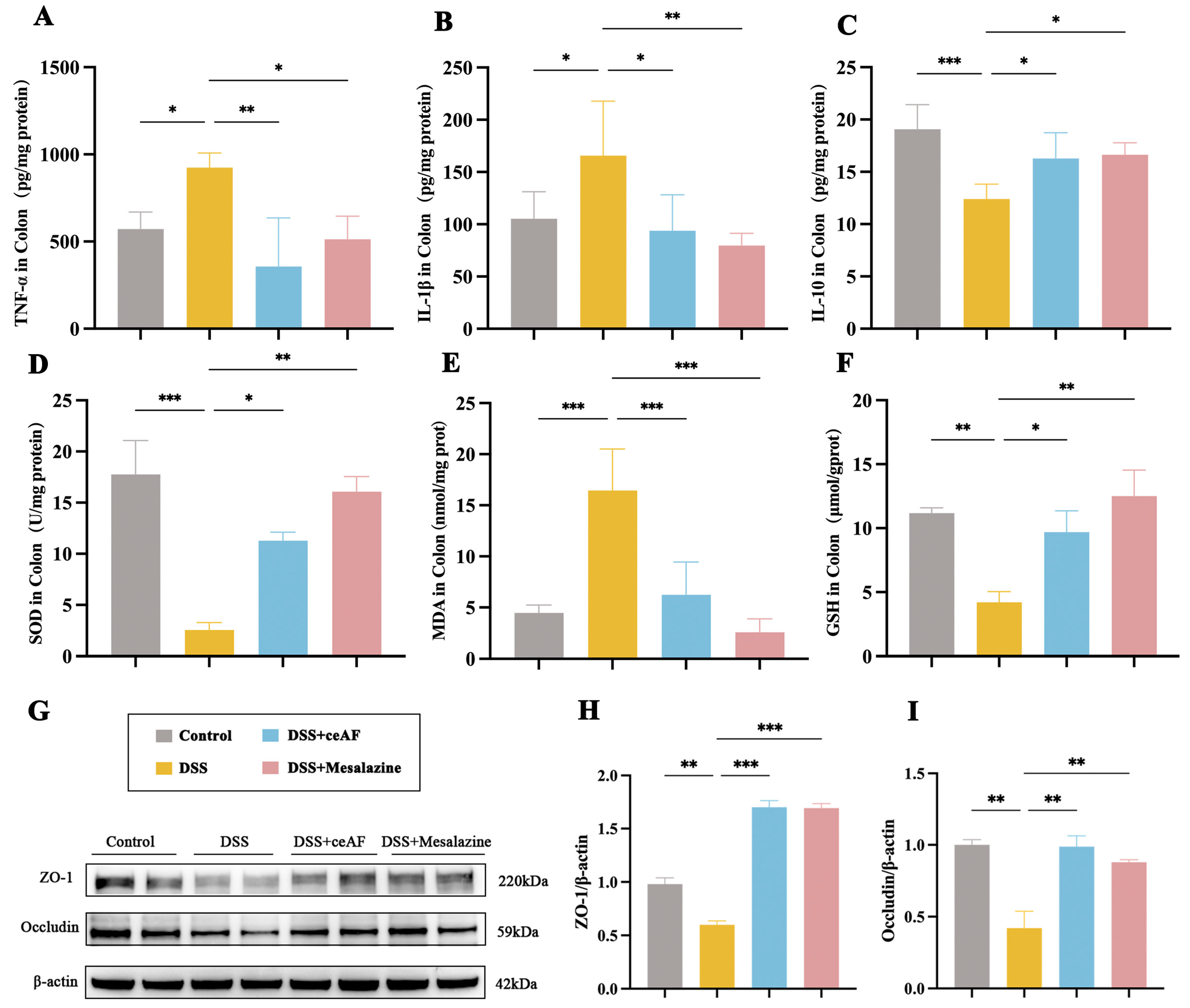 Antioxidants 14 00051 g005