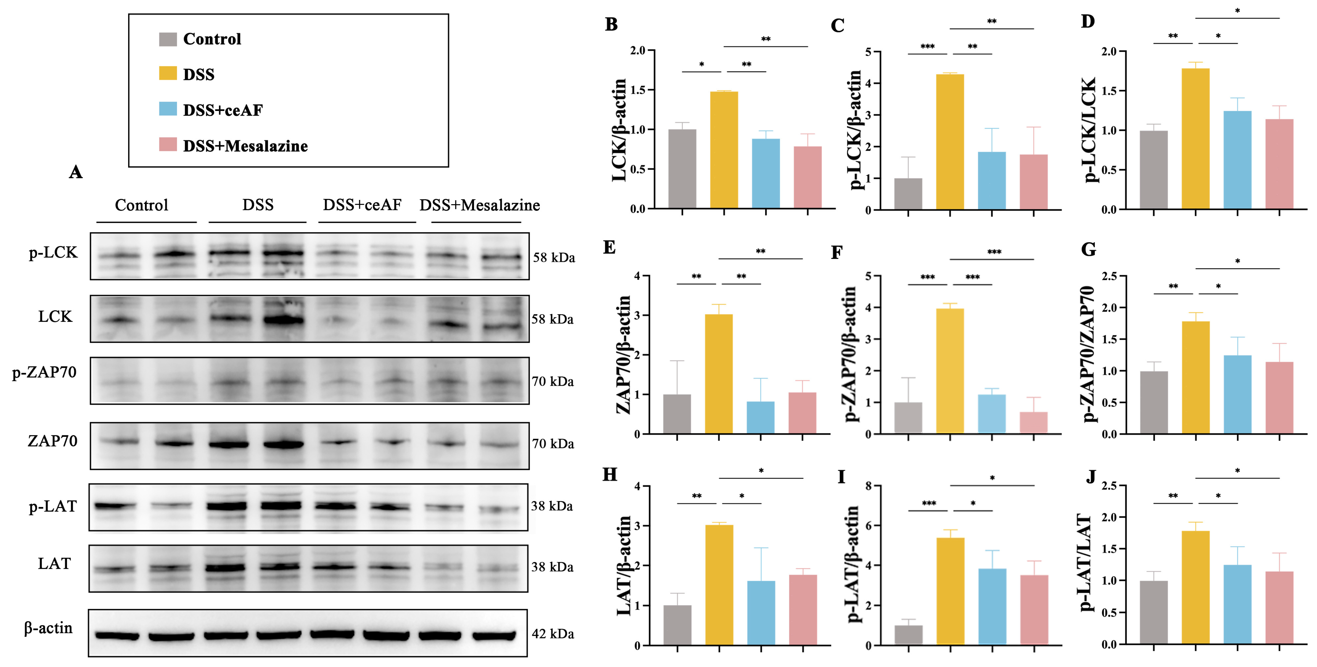 Antioxidants 14 00051 g007
