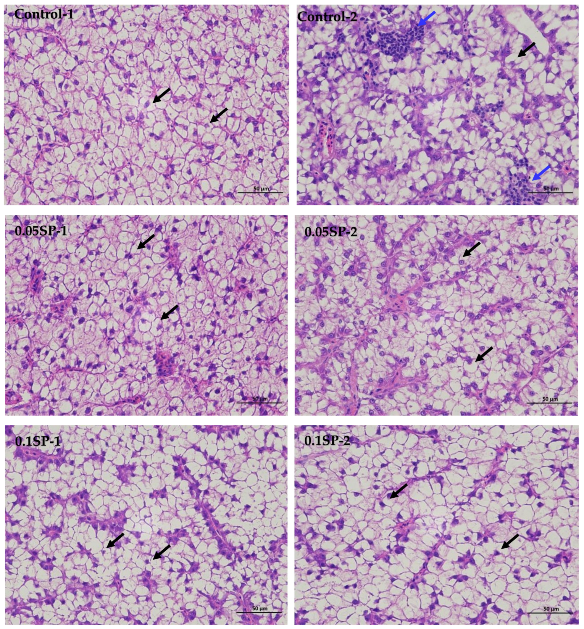 Antioxidants 14 00052 g001a