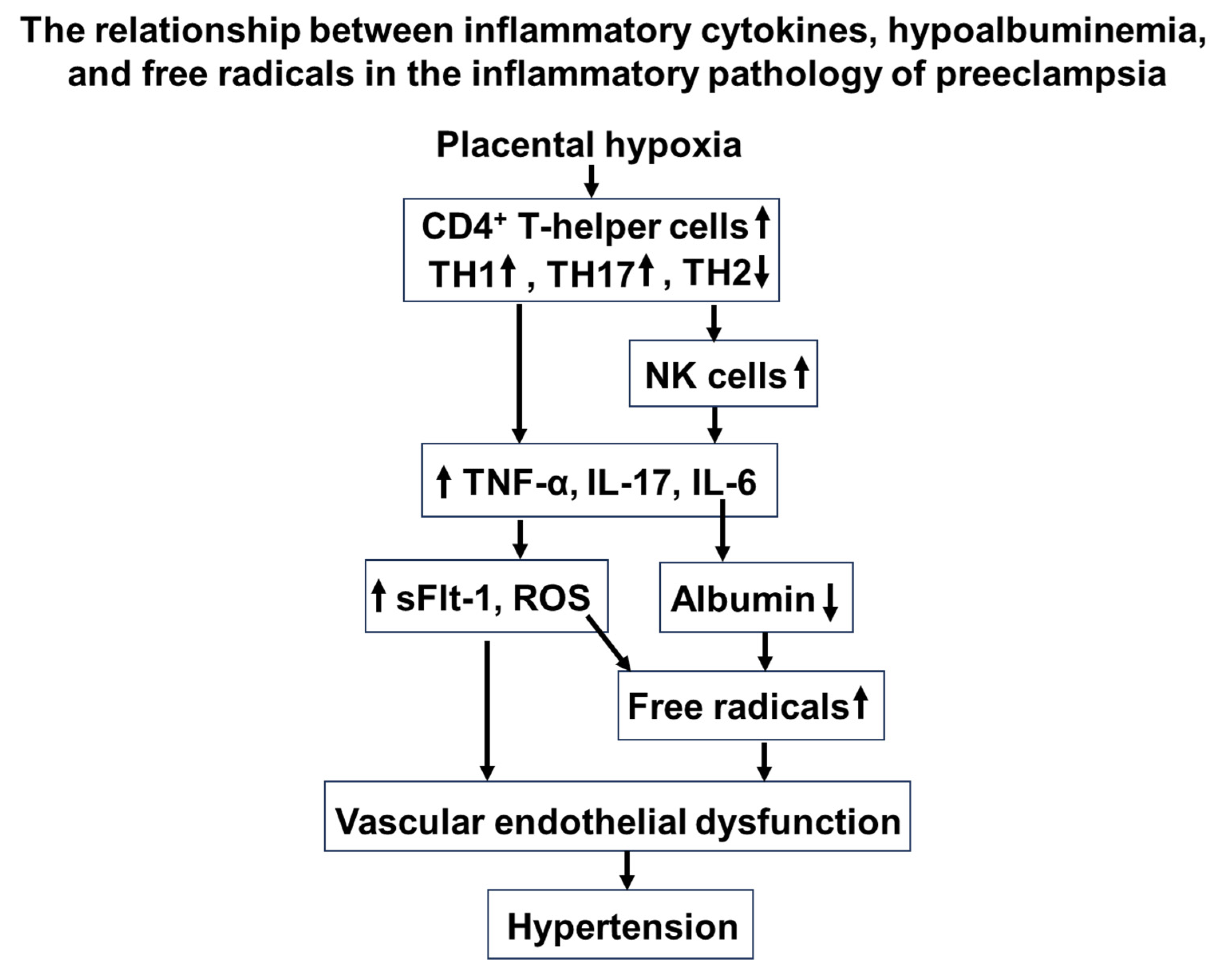 Antioxidants 14 00055 g002