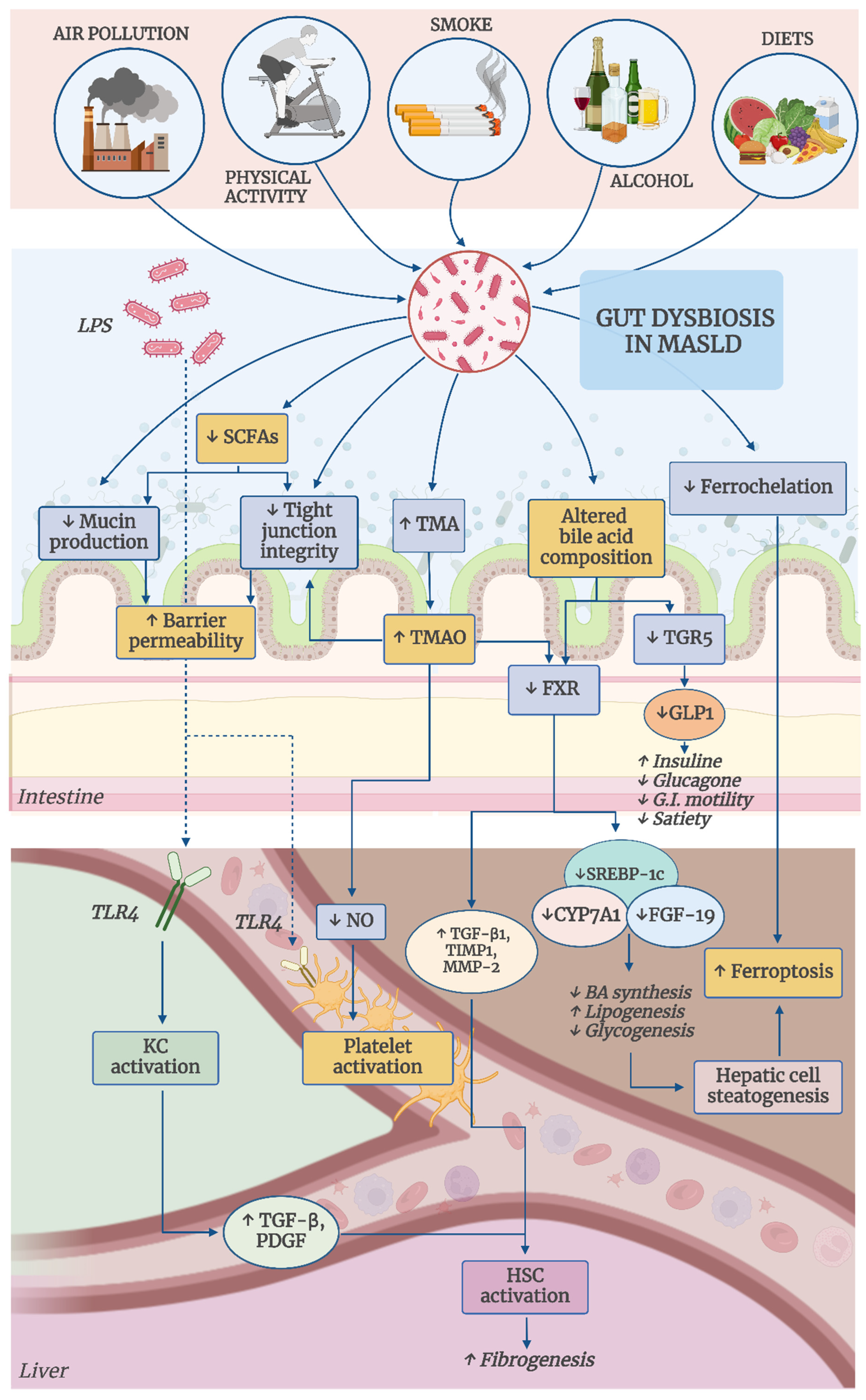 Antioxidants 14 00056 g001
