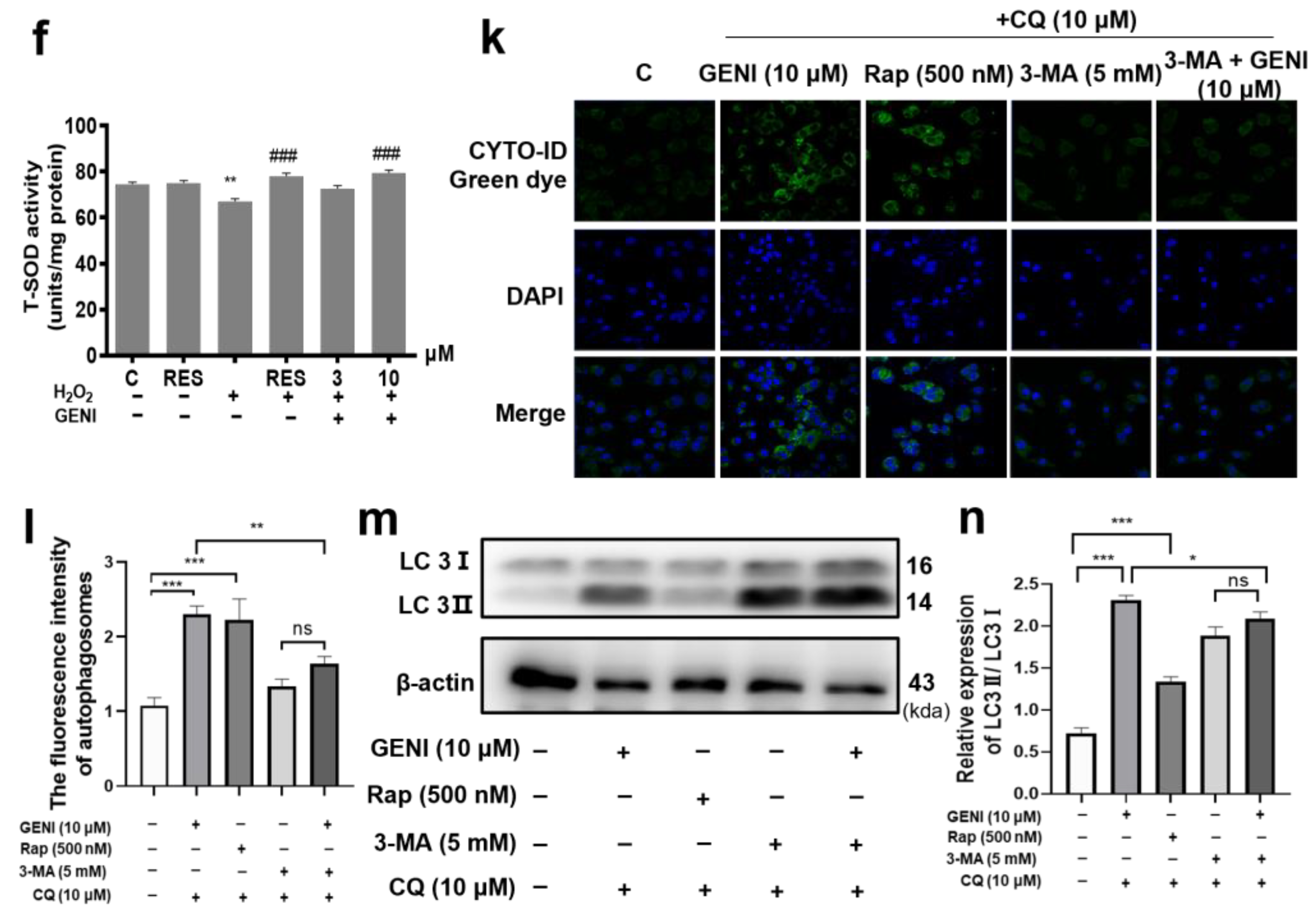 Antioxidants 14 00057 g001b