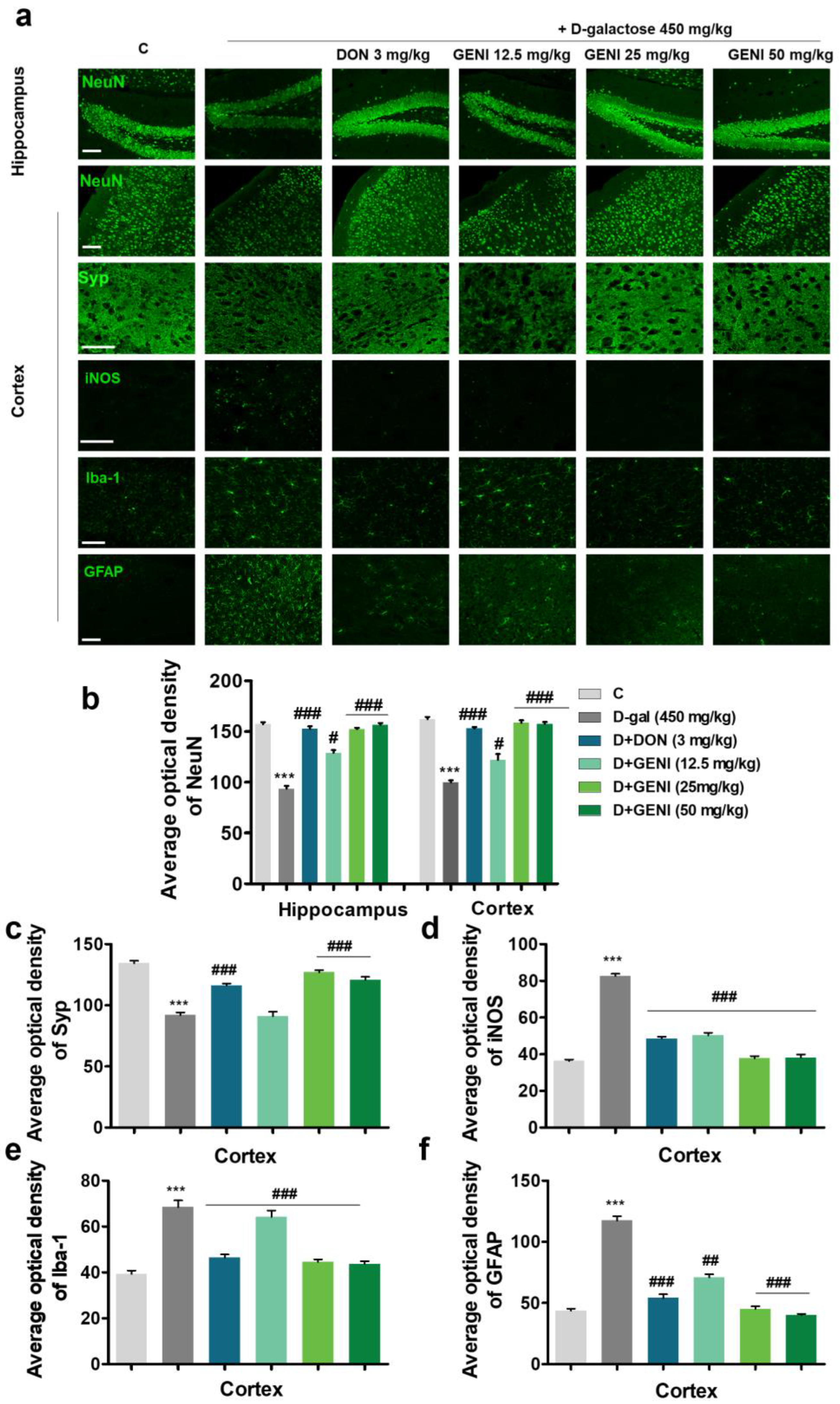 Antioxidants 14 00057 g003