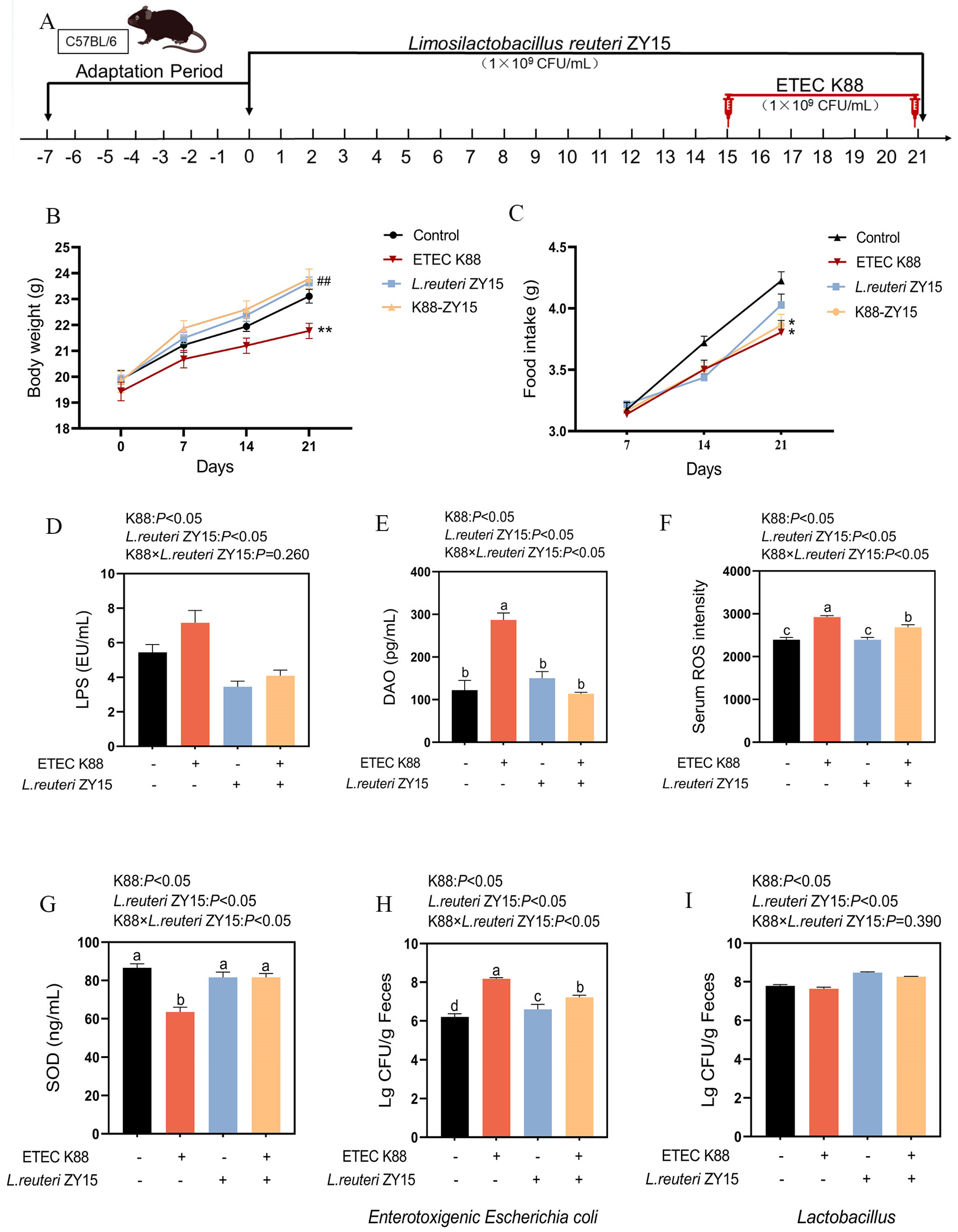 Antioxidants 14 00058 g001