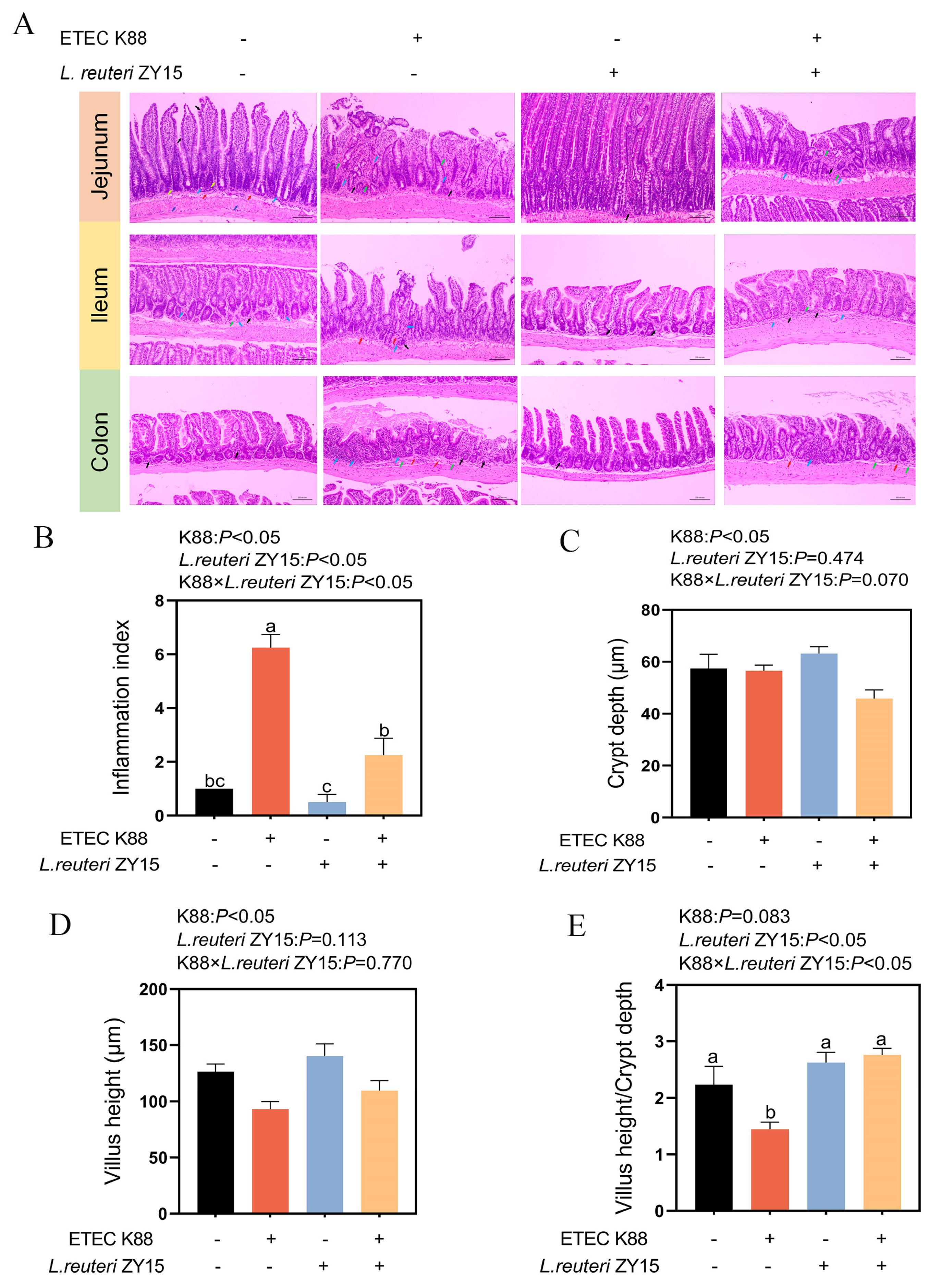 Antioxidants 14 00058 g002