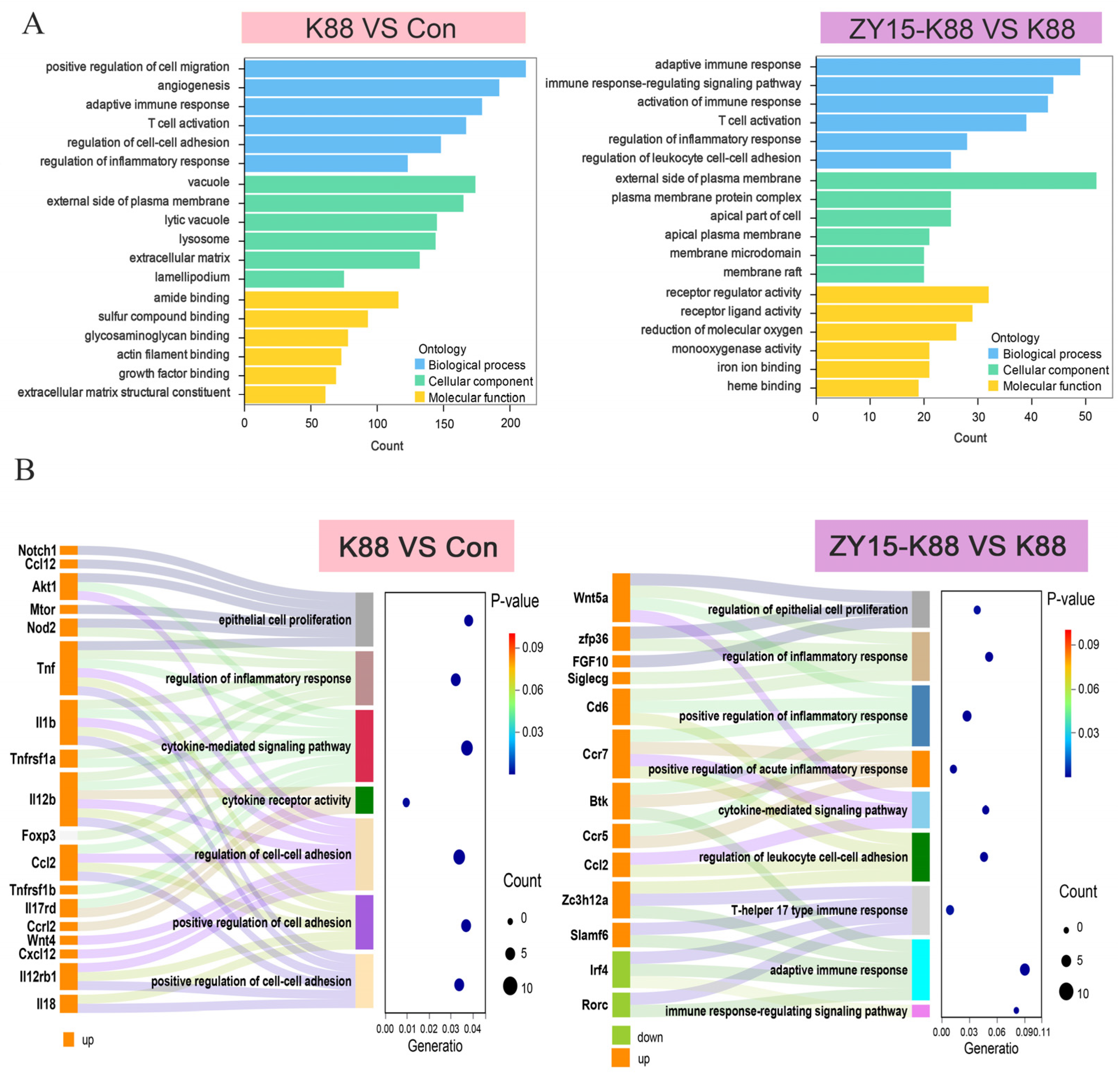 Antioxidants 14 00058 g004