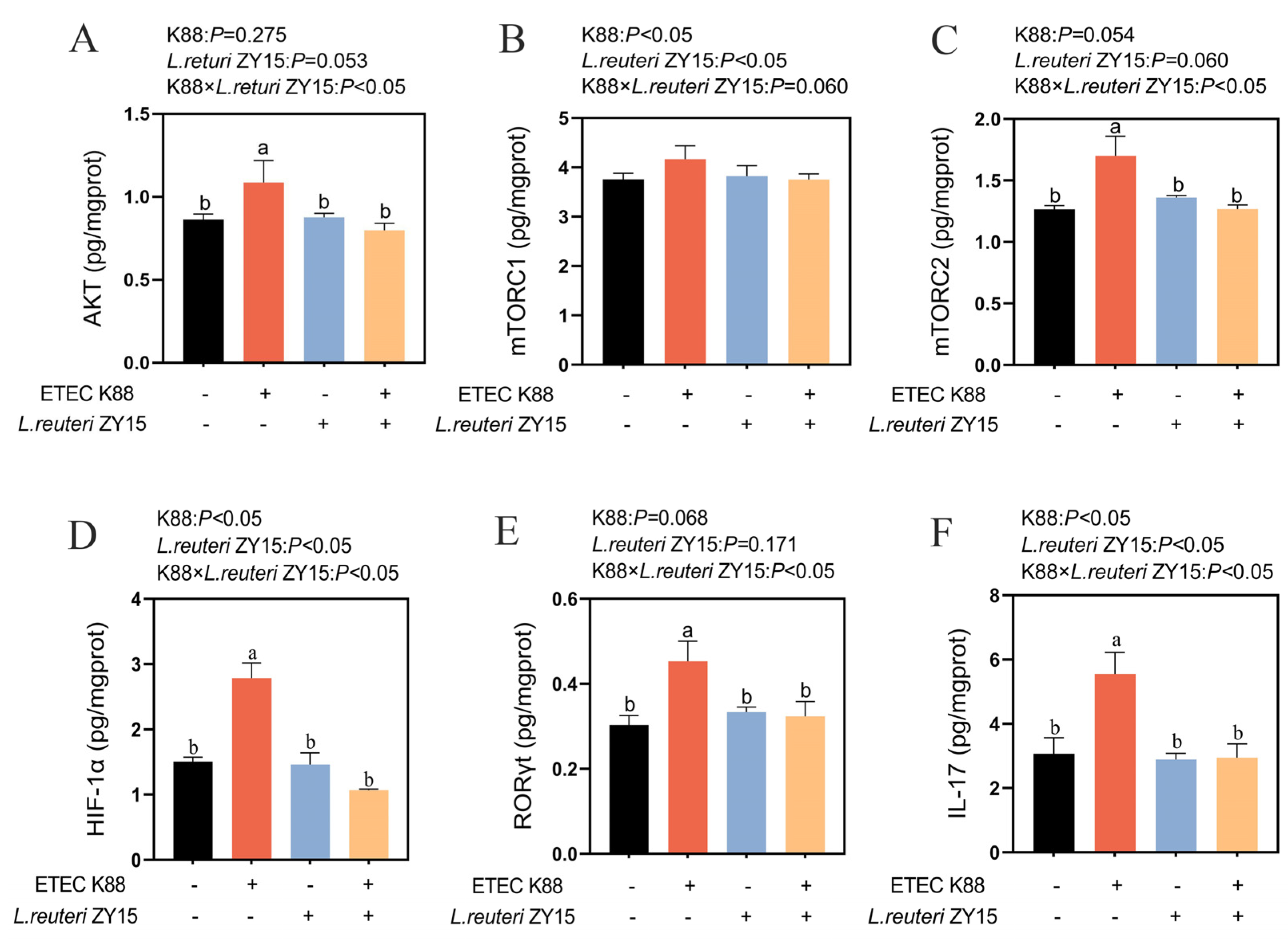 Antioxidants 14 00058 g006