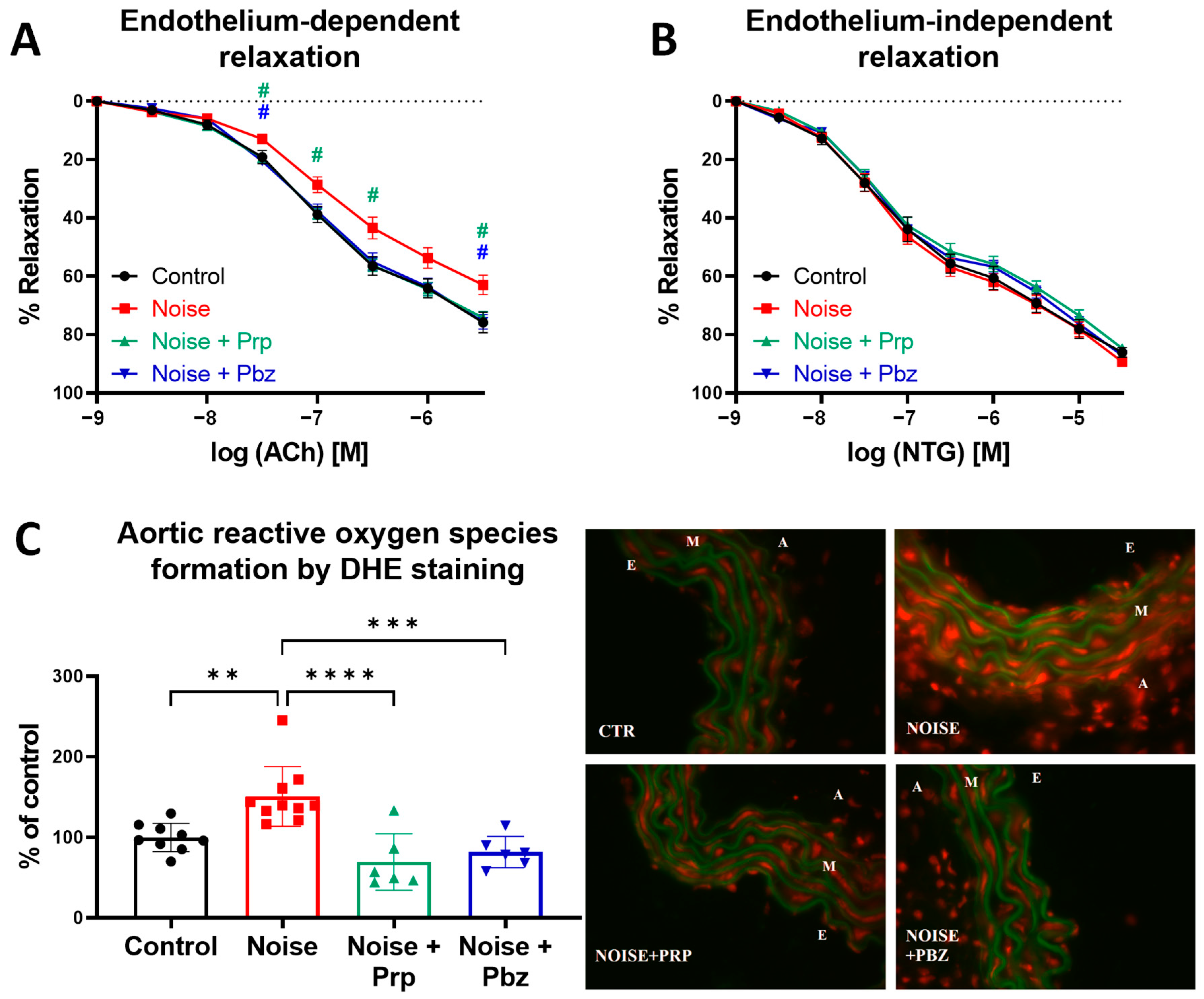 Antioxidants 14 00059 g003