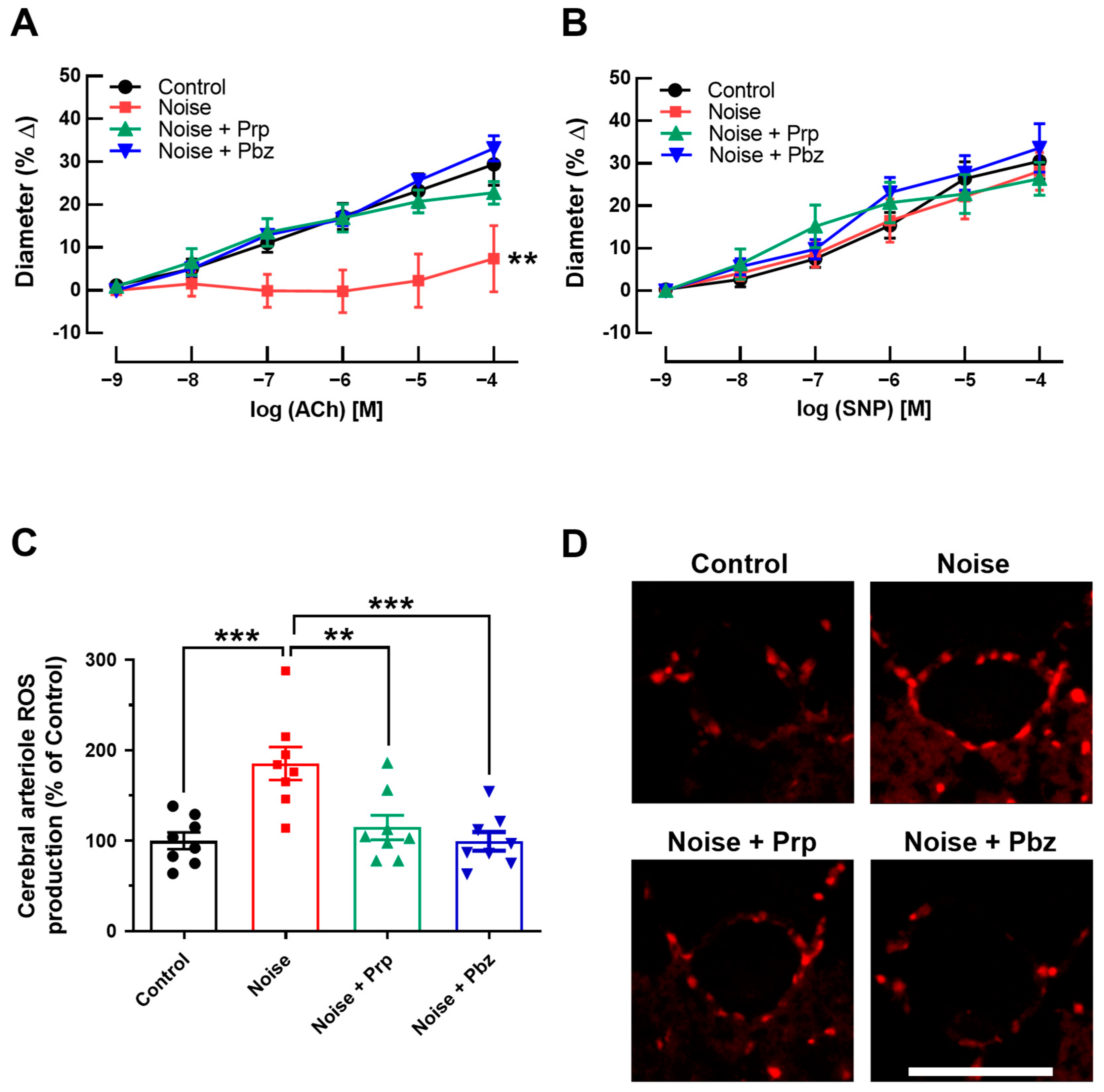 Antioxidants 14 00059 g004