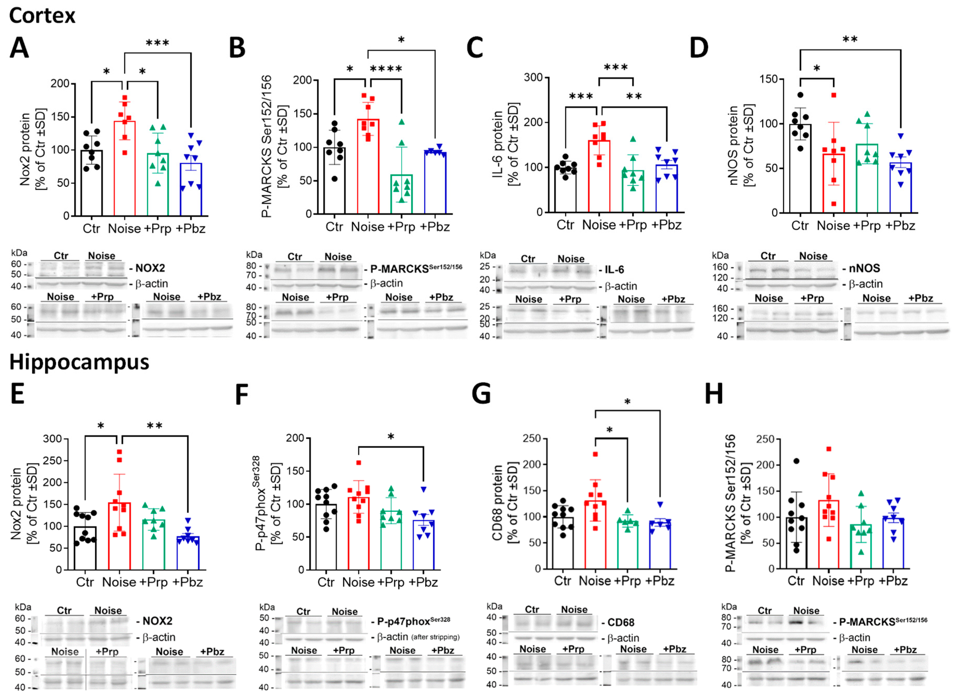 Antioxidants 14 00059 g006