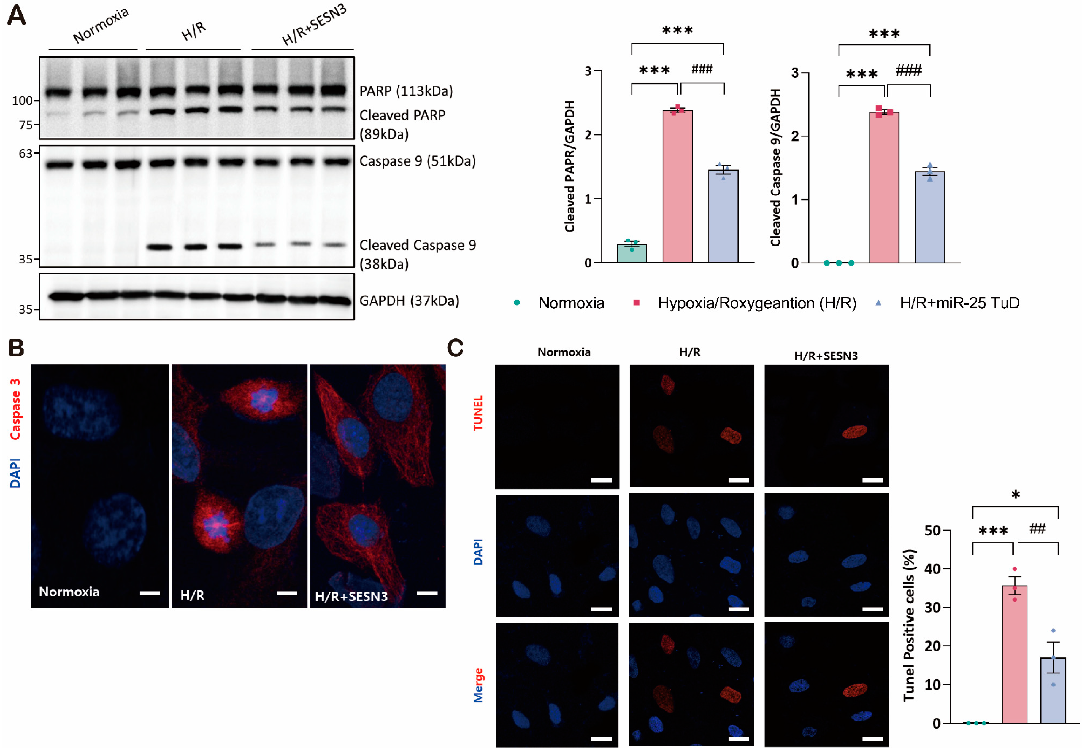Antioxidants 14 00061 g002