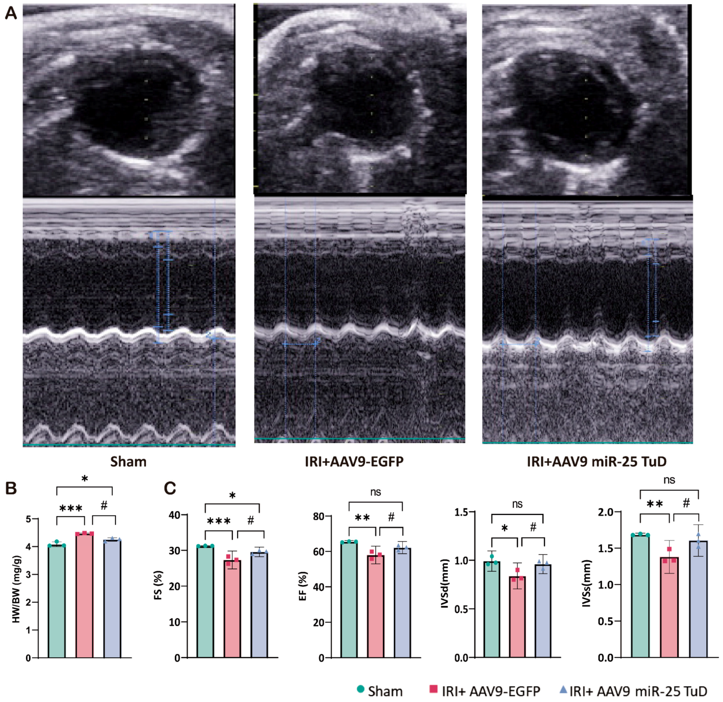 Antioxidants 14 00061 g005