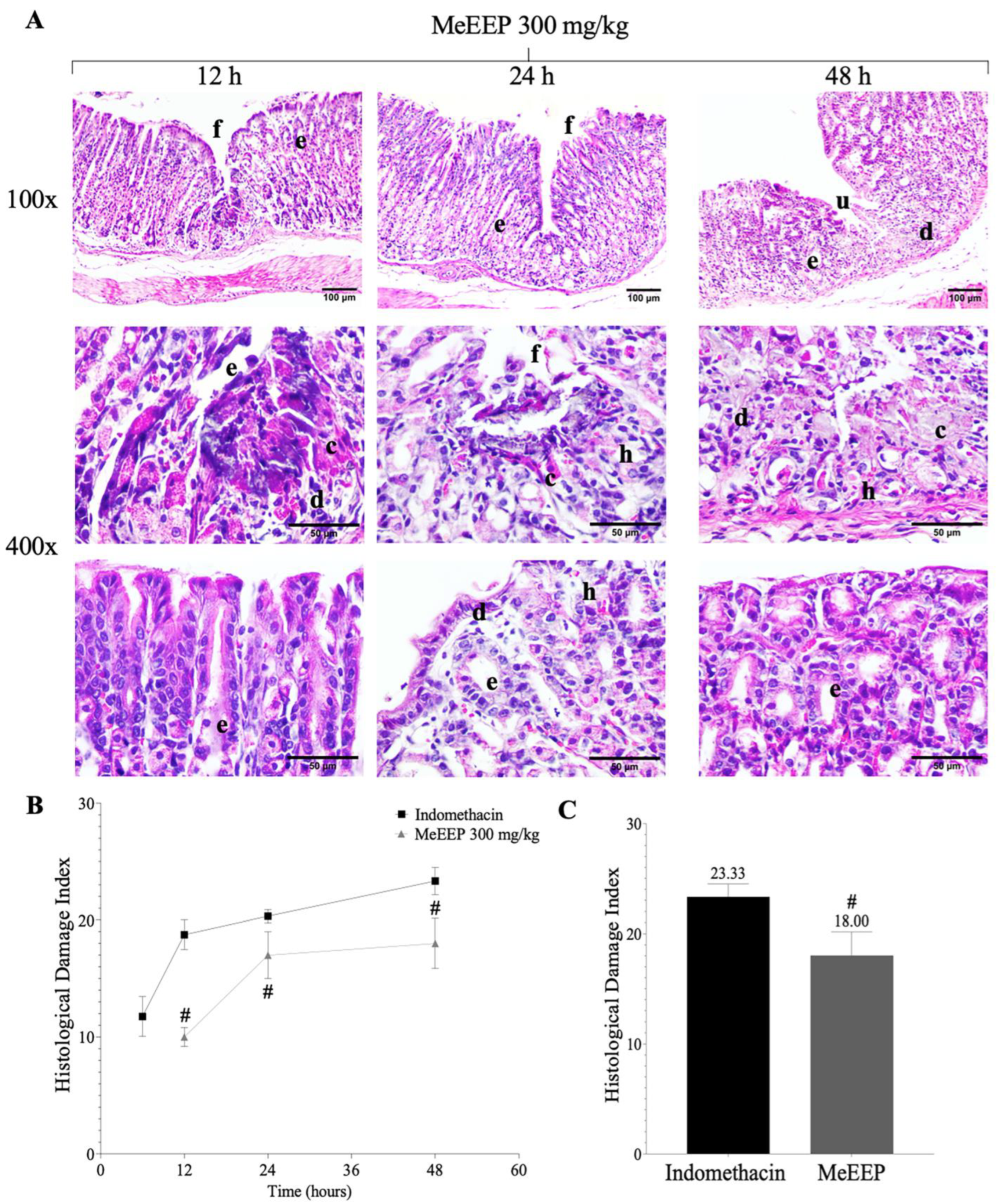 Antioxidants 14 00065 g006