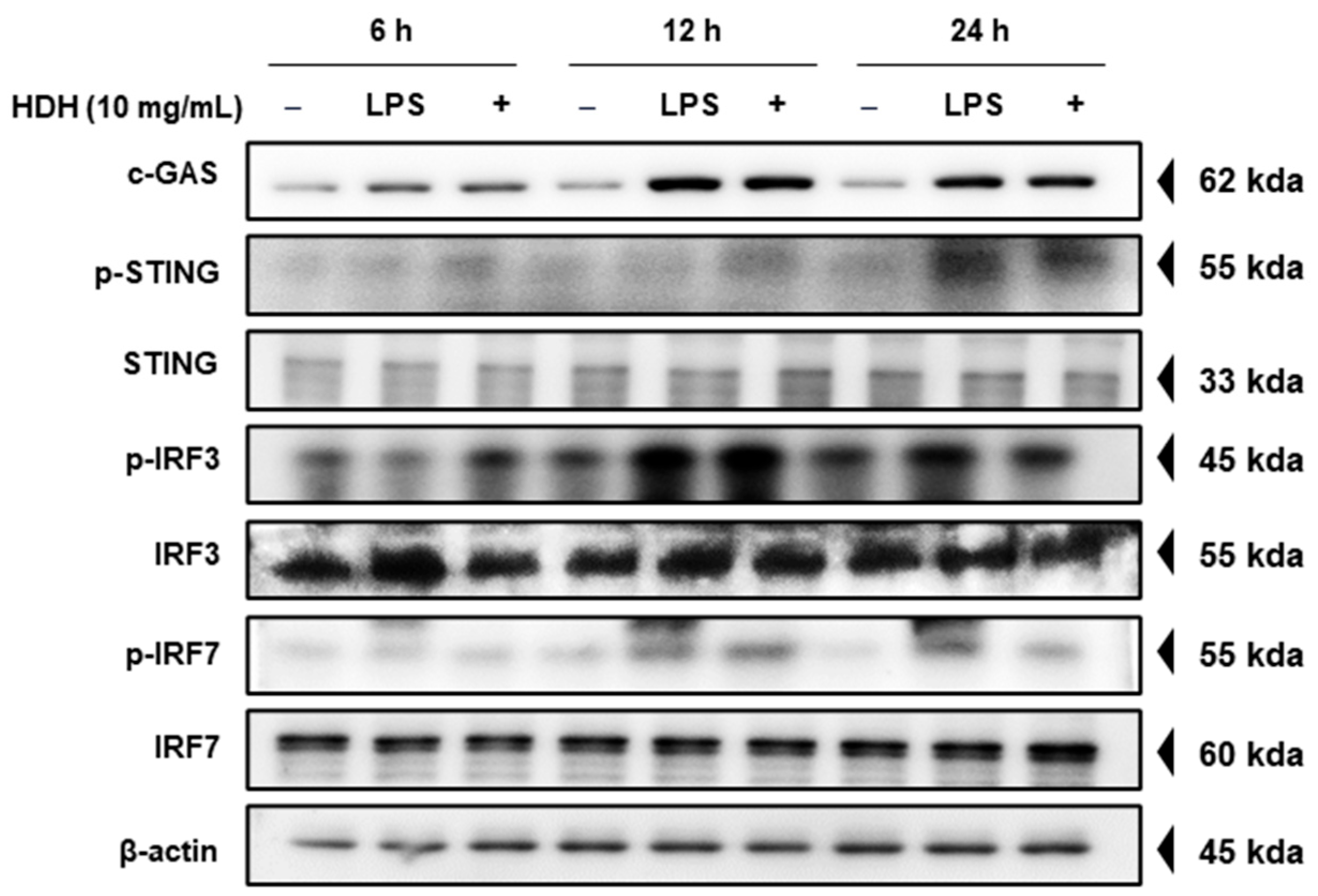 Antioxidants 14 00071 g003