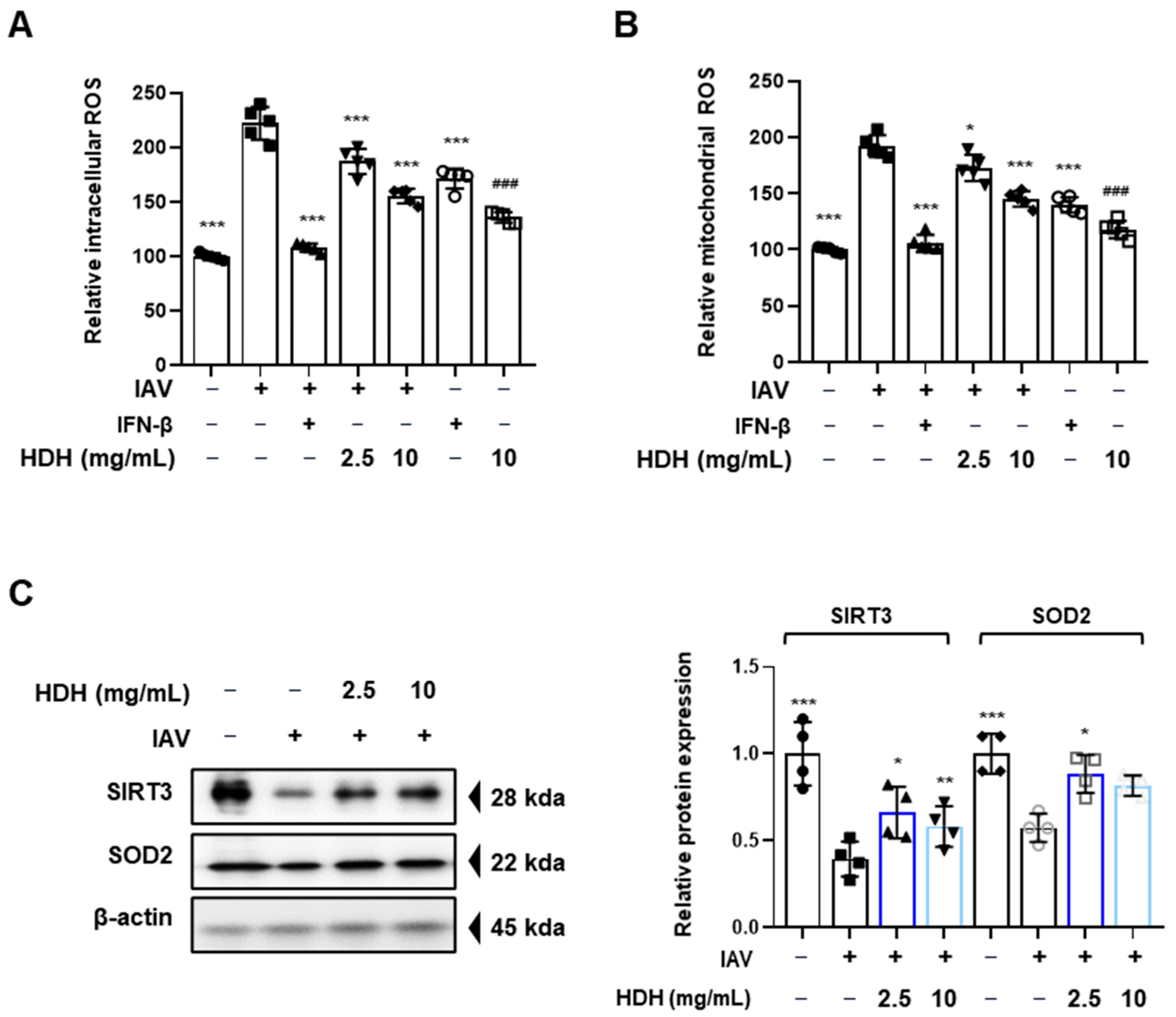 Antioxidants 14 00071 g005