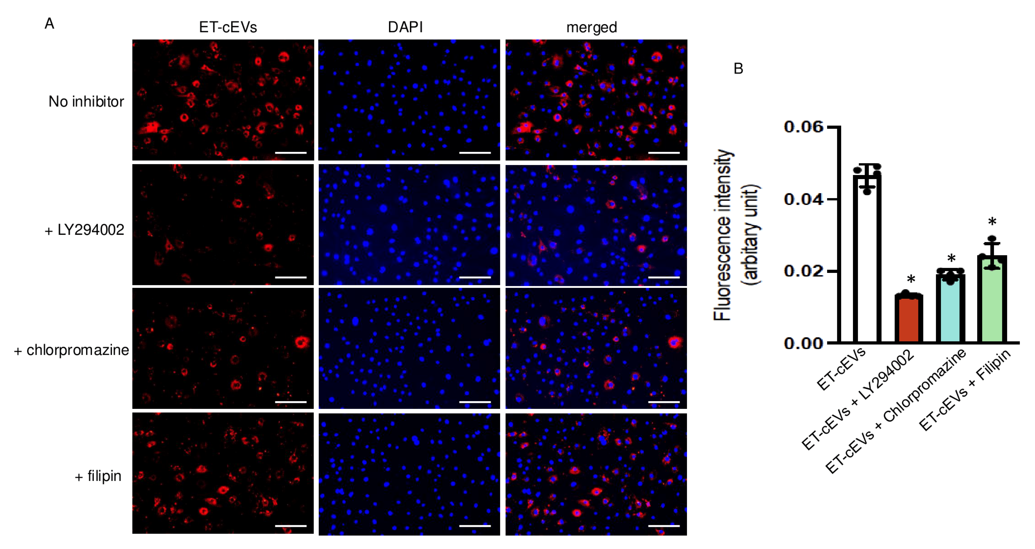 Antioxidants 14 00077 g002
