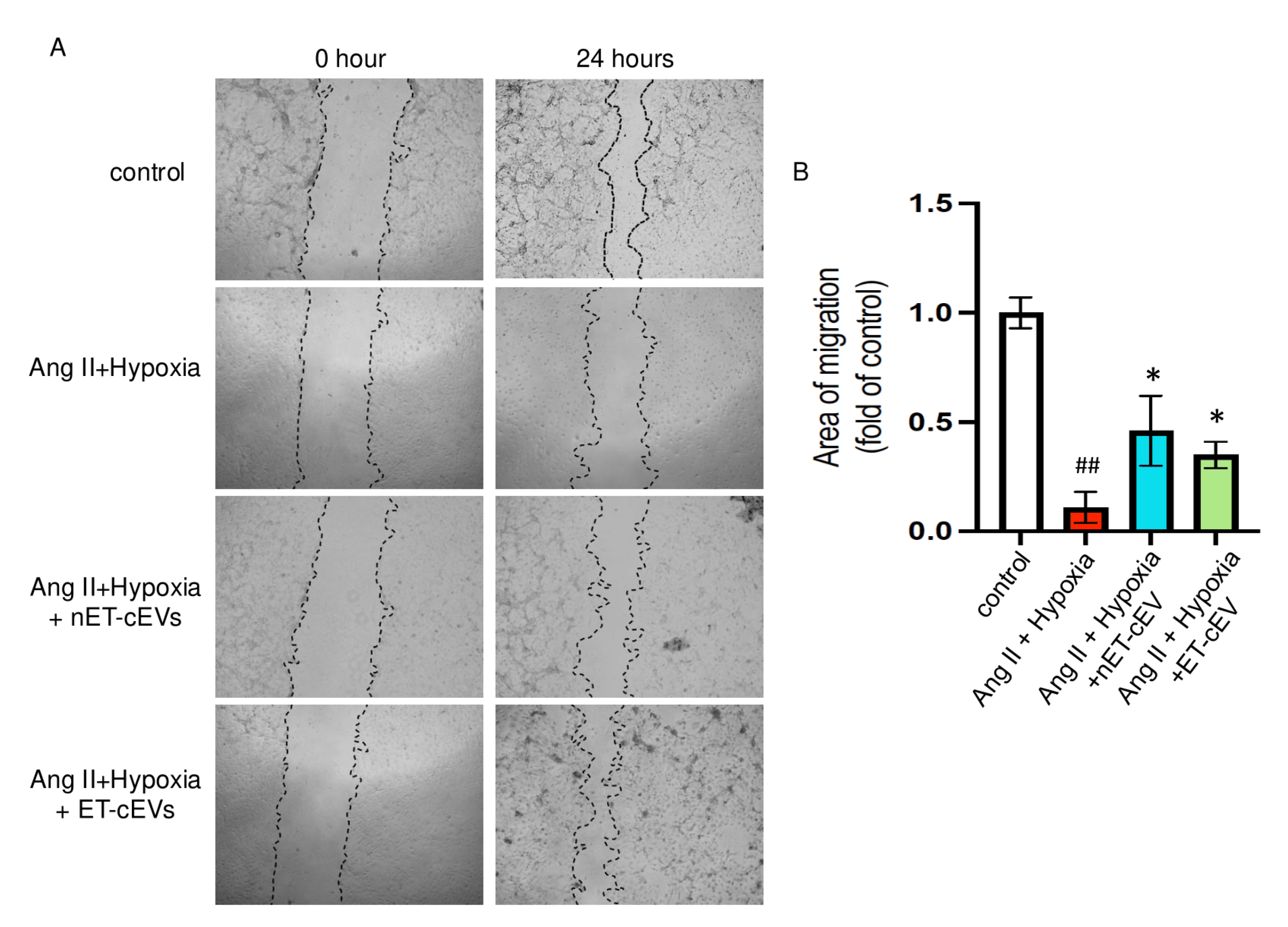 Antioxidants 14 00077 g003