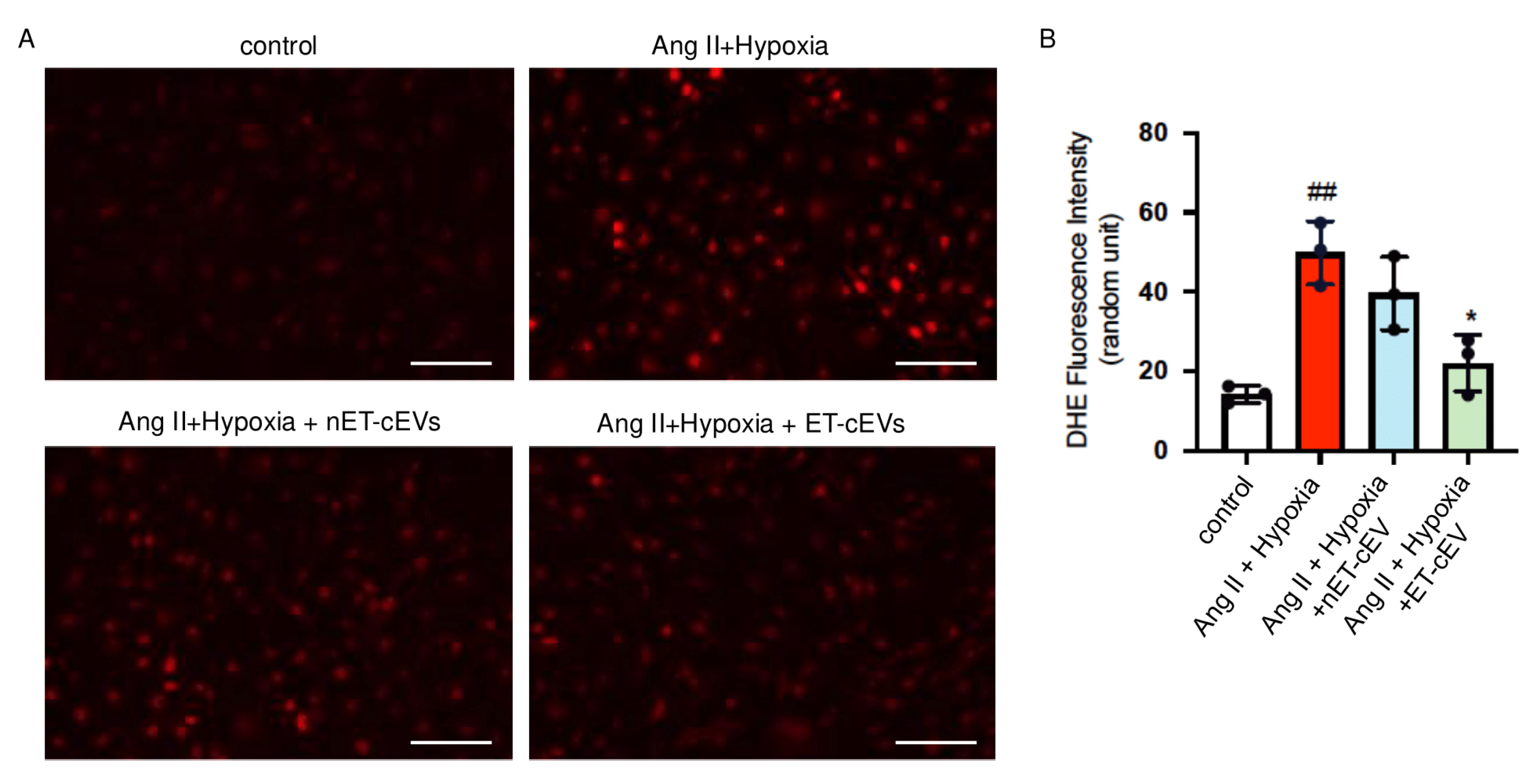 Antioxidants 14 00077 g004